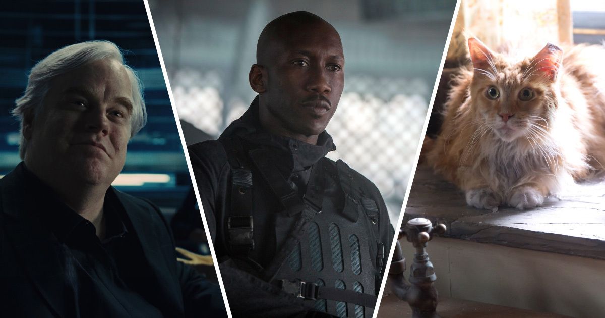 Philip Seymour Hoffman as Plutarch, Mahershala Ali as Boggs, and the cat from The Hunger Games Franchise