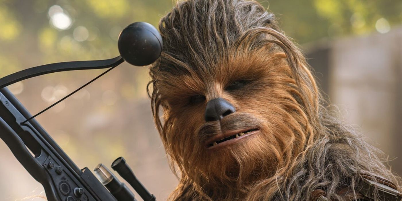 Chewbacca From Star Wars