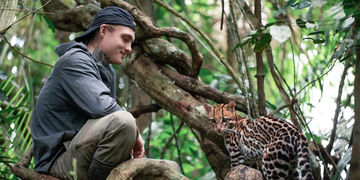 A young man sitting in a tree with a wildcat in a scene from Wildcat.