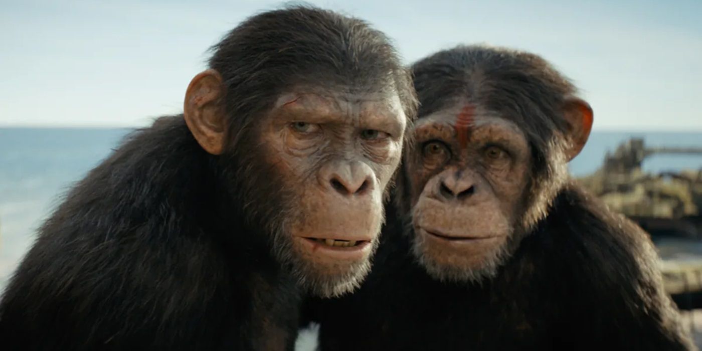 Noa protects a fellow ape in Kingdom of the Planet of the Apes.