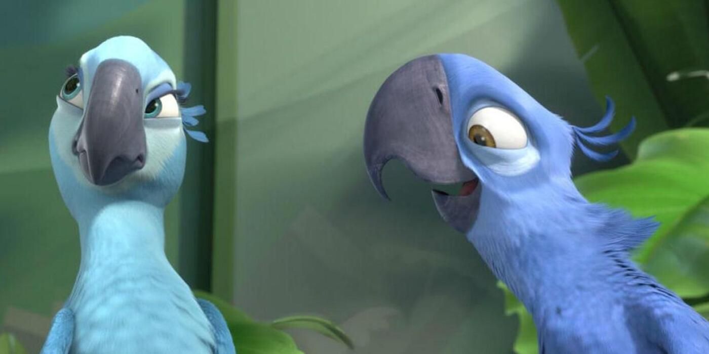 Rio blue parrots Blu and Jewel 