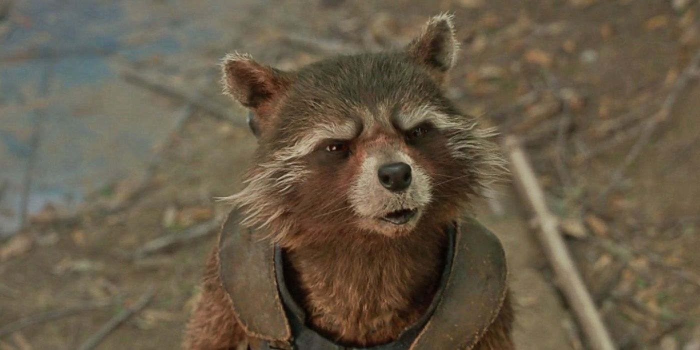 Rocket Raccoon is called a Trash Panda in Guardians of the Galaxy Vol. 2