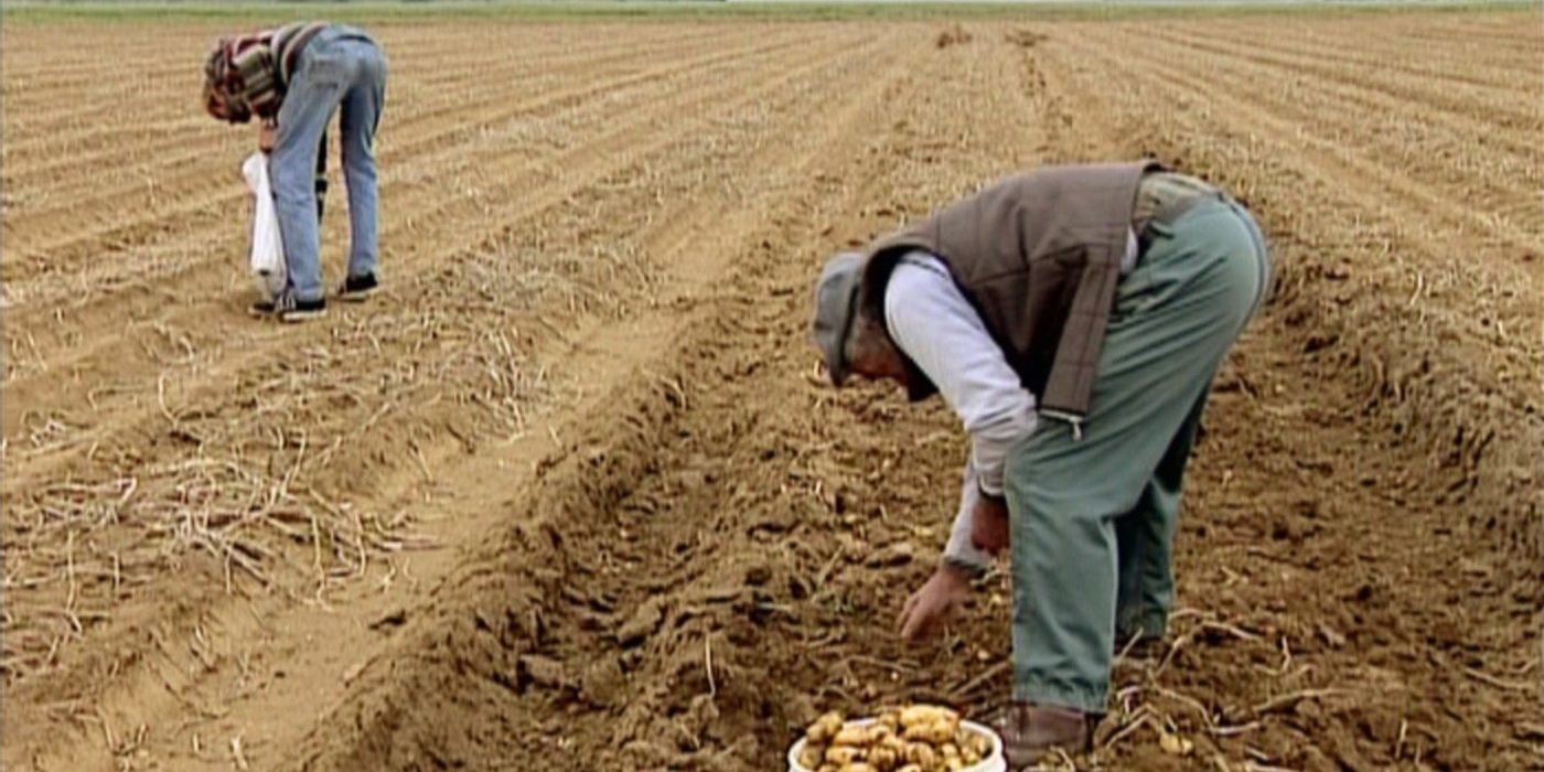 Two farm workers bend to pick up crops in a dirt field in The Gleaners and I