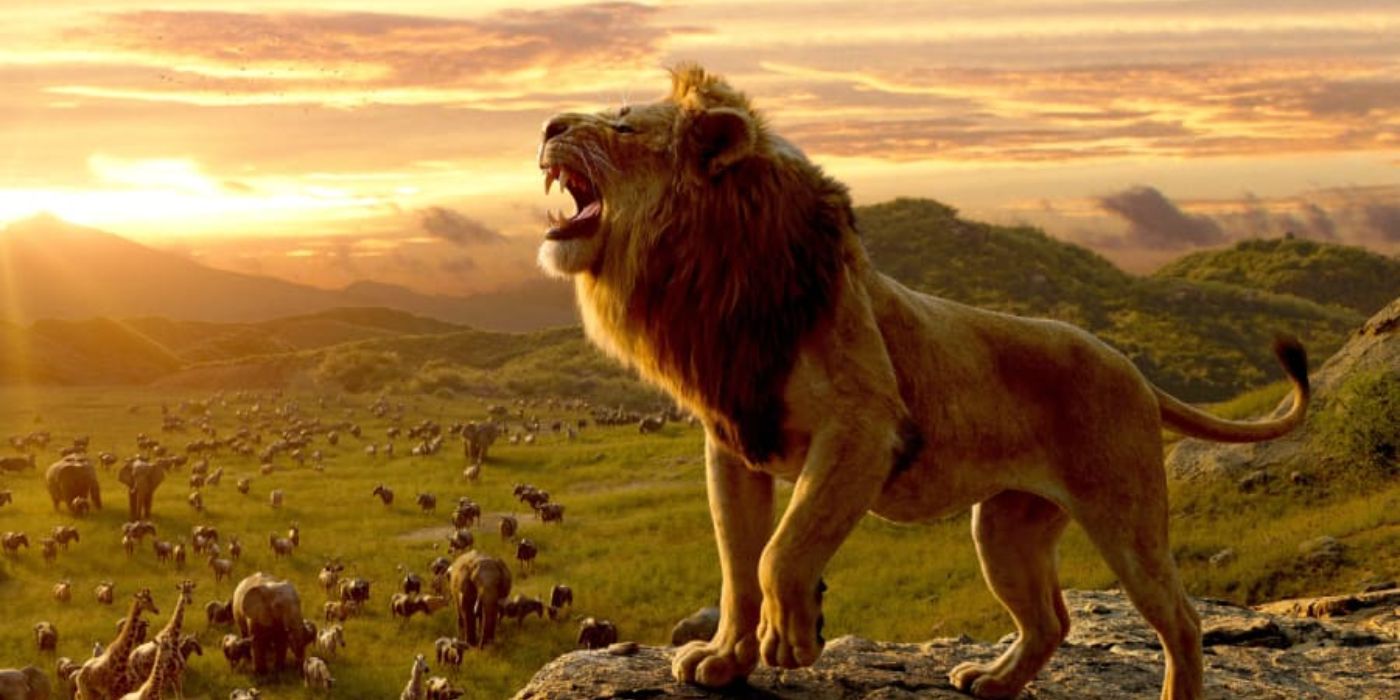 Как приквел «Короля Льва» от Disney может решить проблемы ремейка