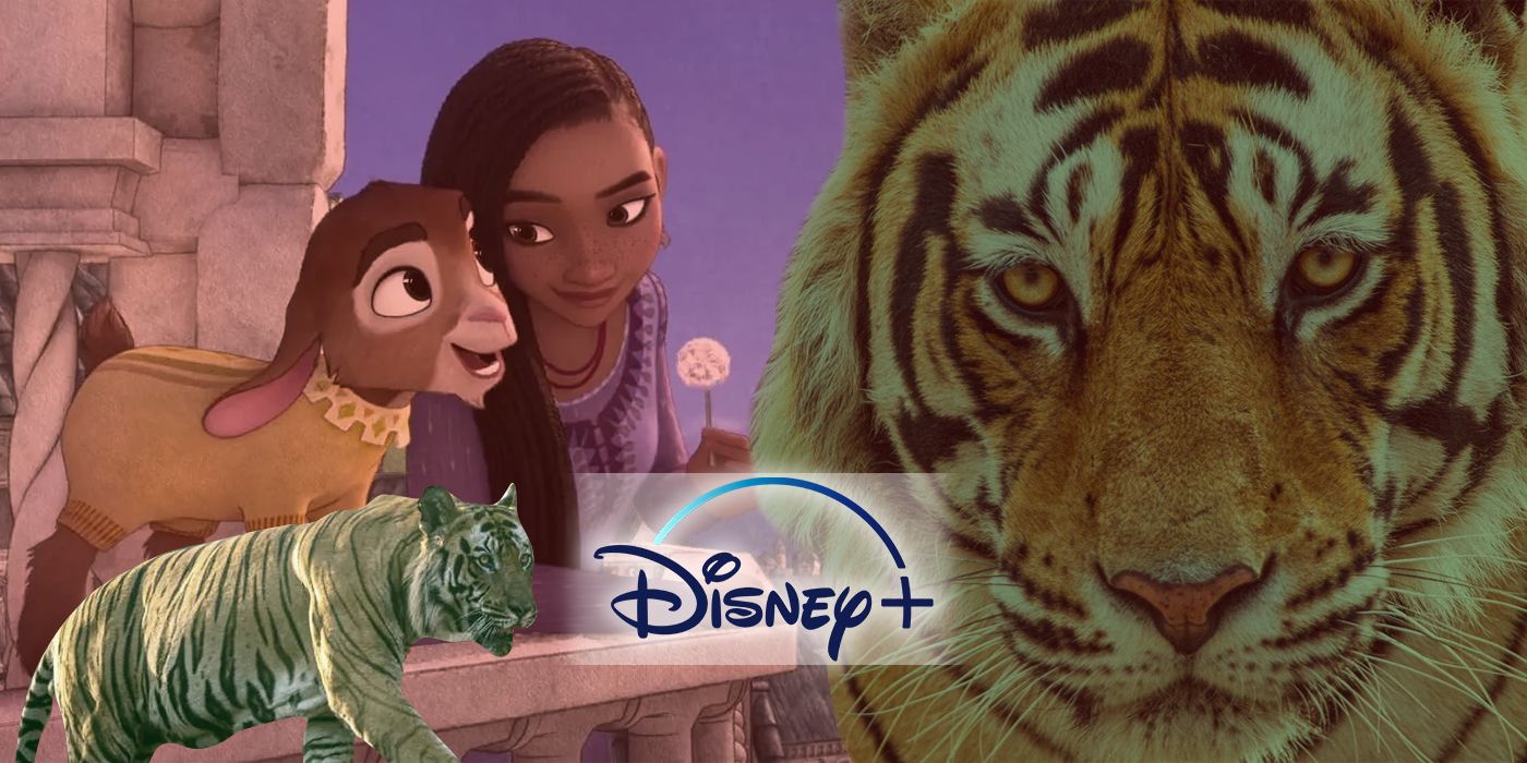 Tiger 2024 Disney Plus Trailer