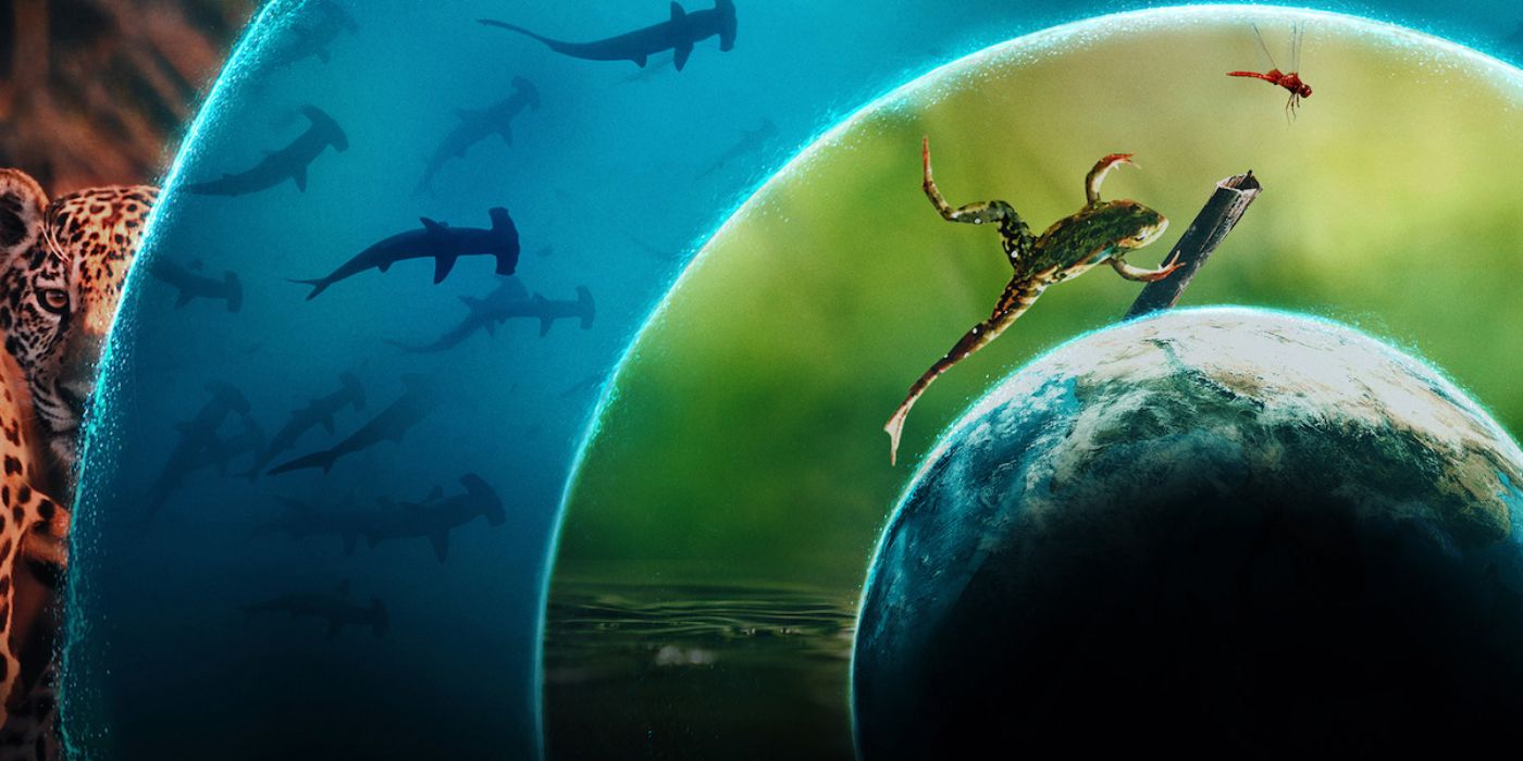 A frog, shark, and cheetah moving around the outside of a globe in Our Living World