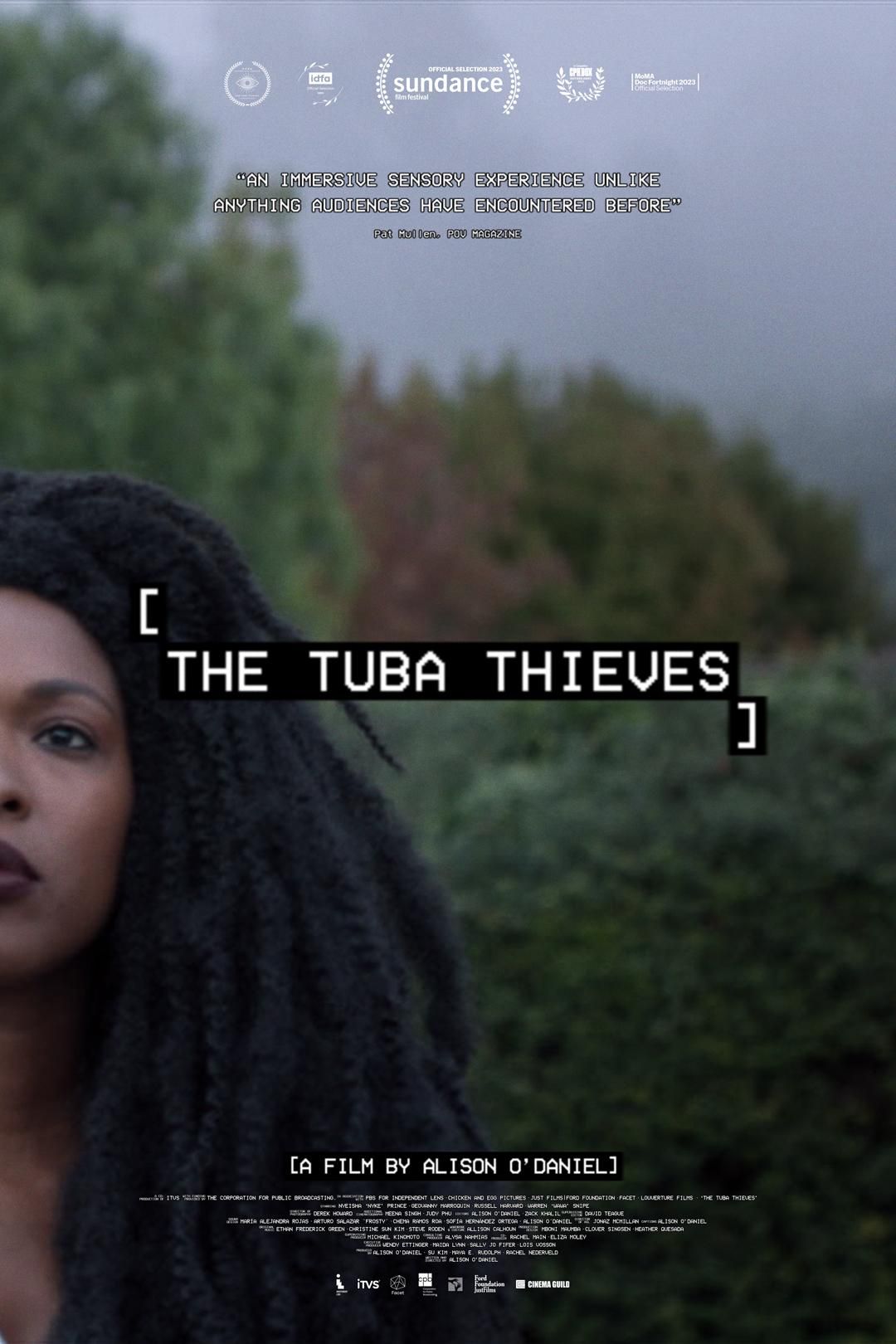 The Tuba Thieves poster
