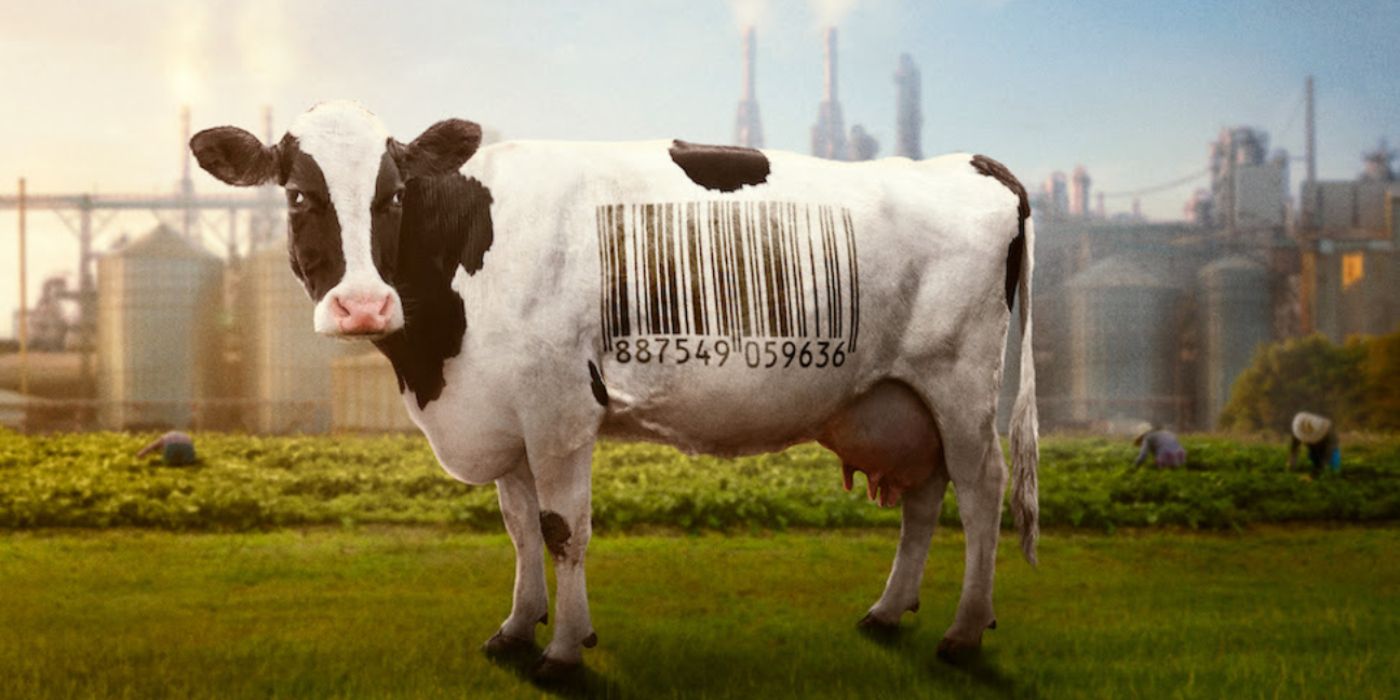 A cow with a barcode in Food Inc. 2