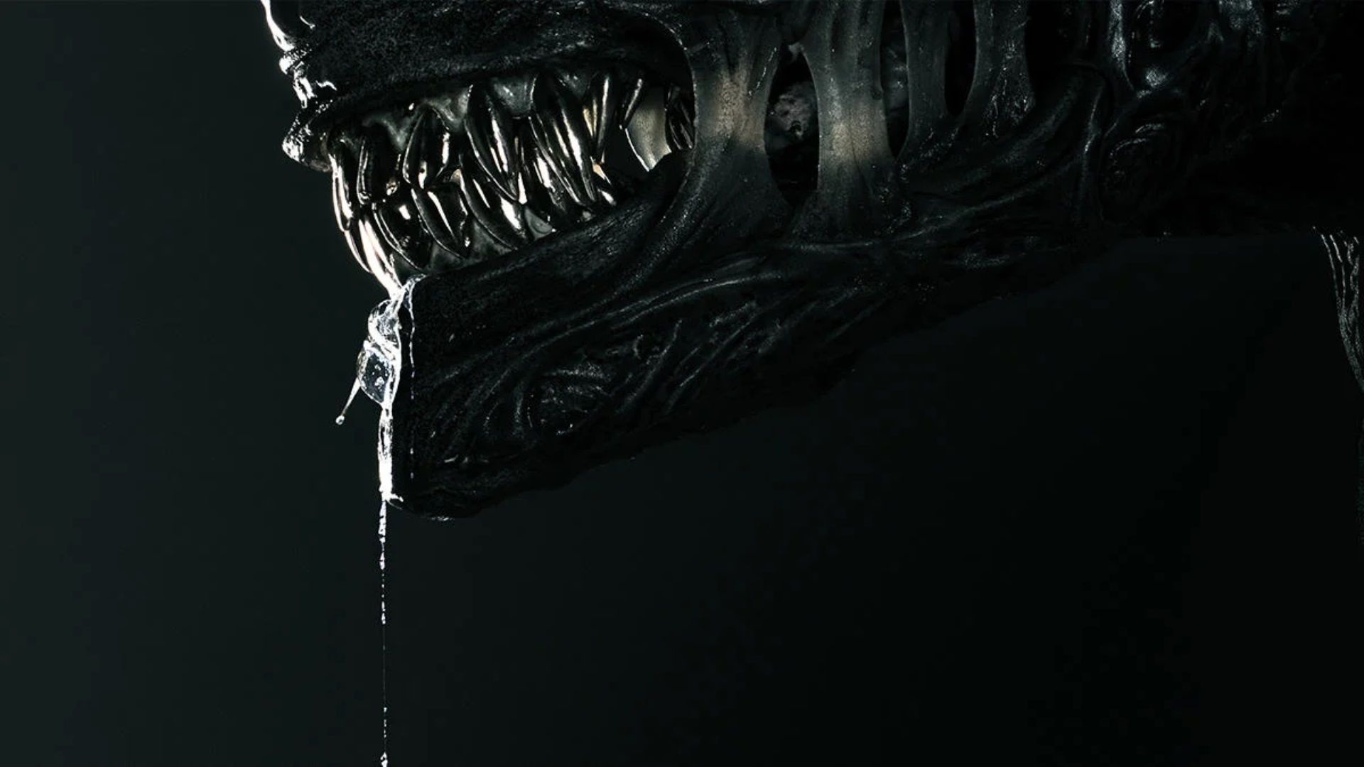 Earth showrunner promises long future for the TV series “Xenomorph”