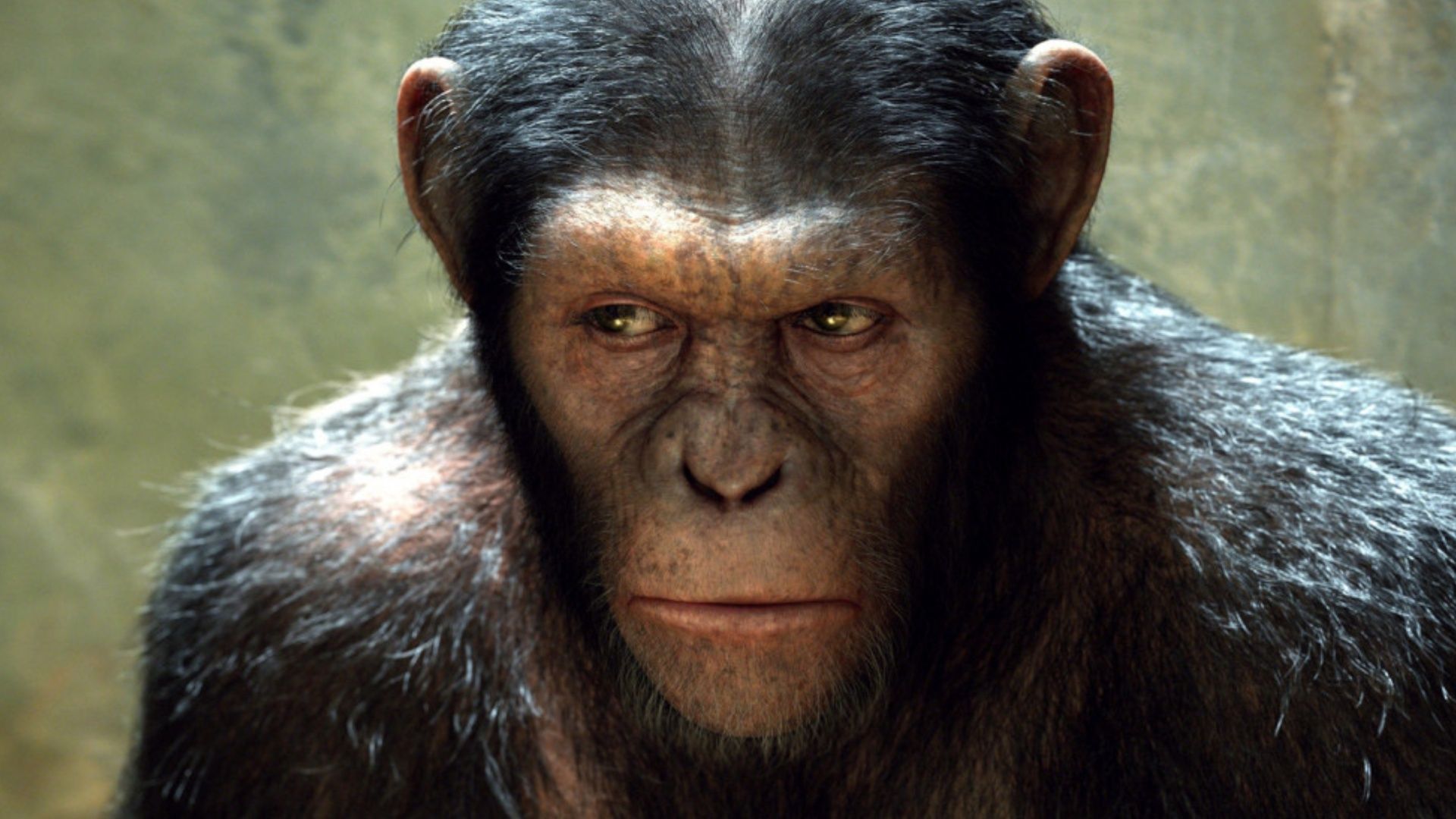Как смотреть фильмы «Планета обезьян» по порядку