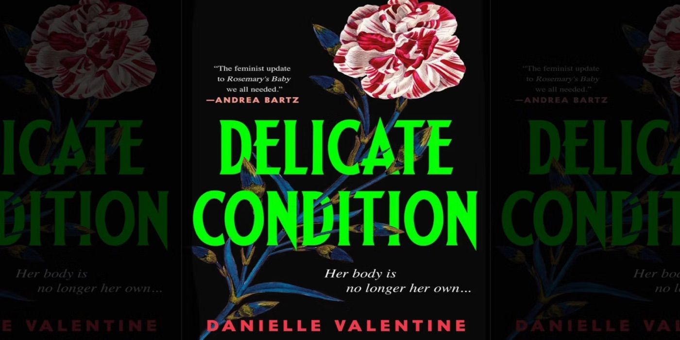 Delicate Condition book cover