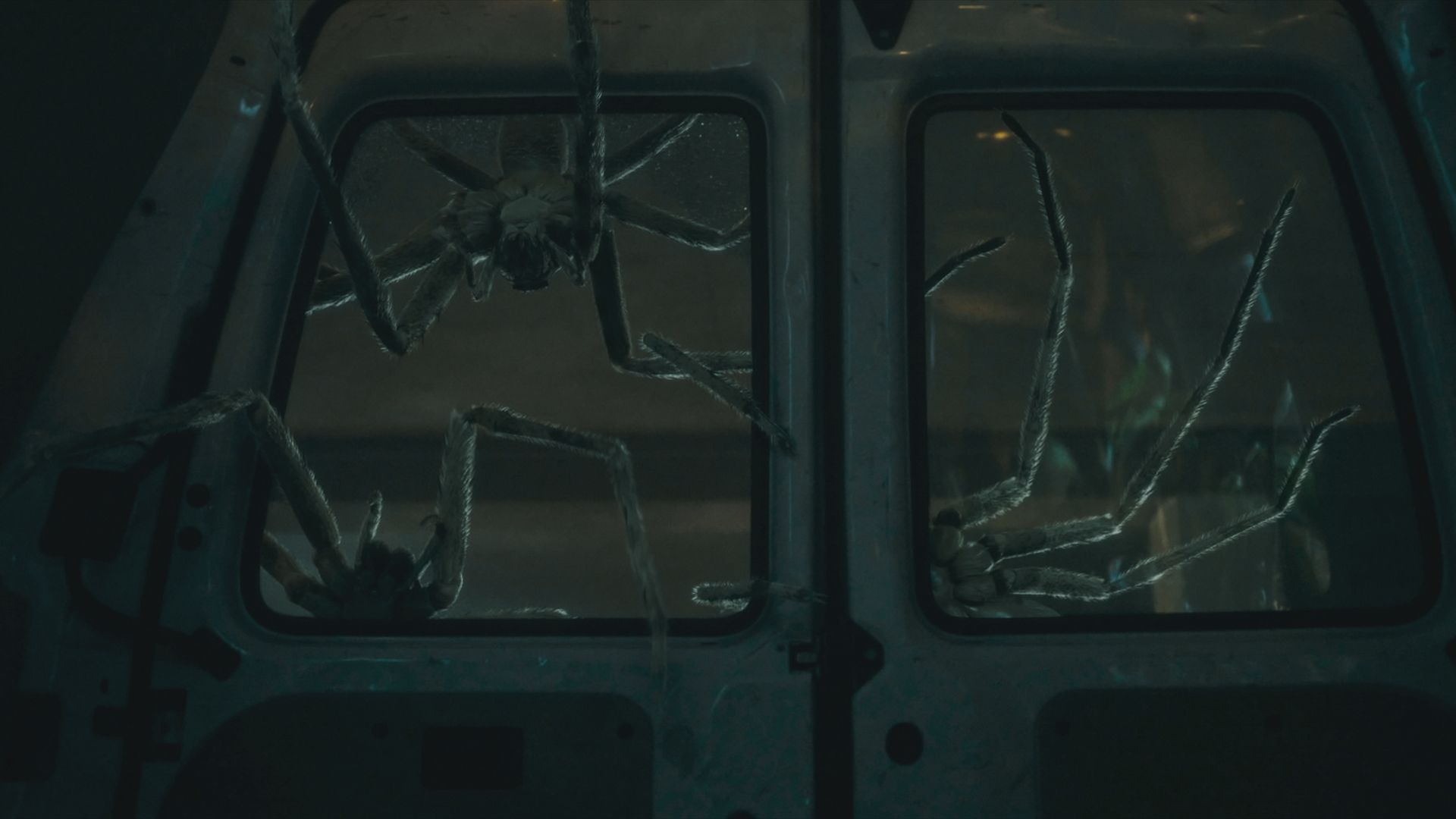 Обзор «Зараженных»: один из самых страшных фильмов о пауках-убийцах, которые мы видели за последние годы