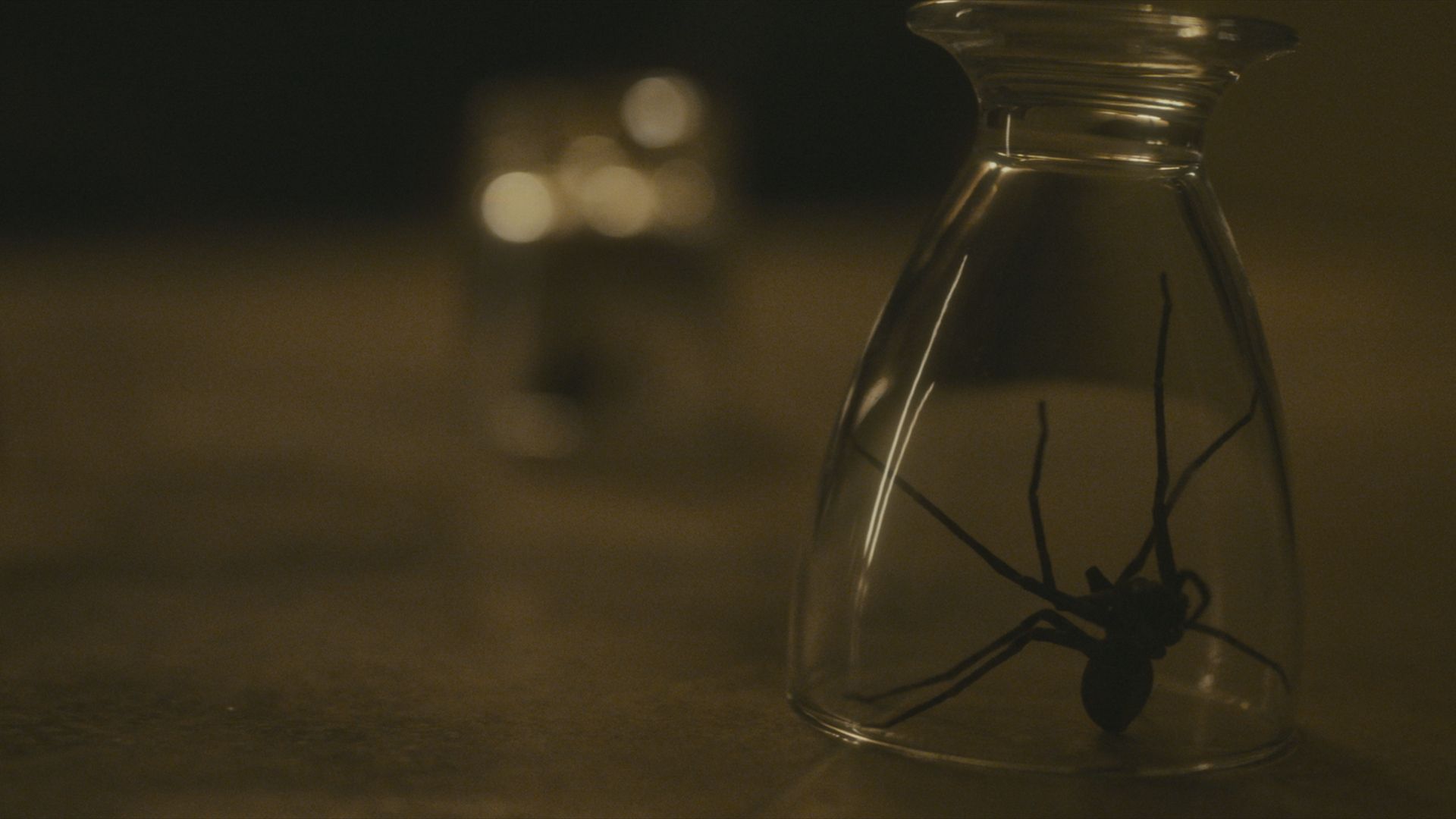 Обзор «Зараженных»: один из самых страшных фильмов о пауках-убийцах, которые мы видели за последние годы