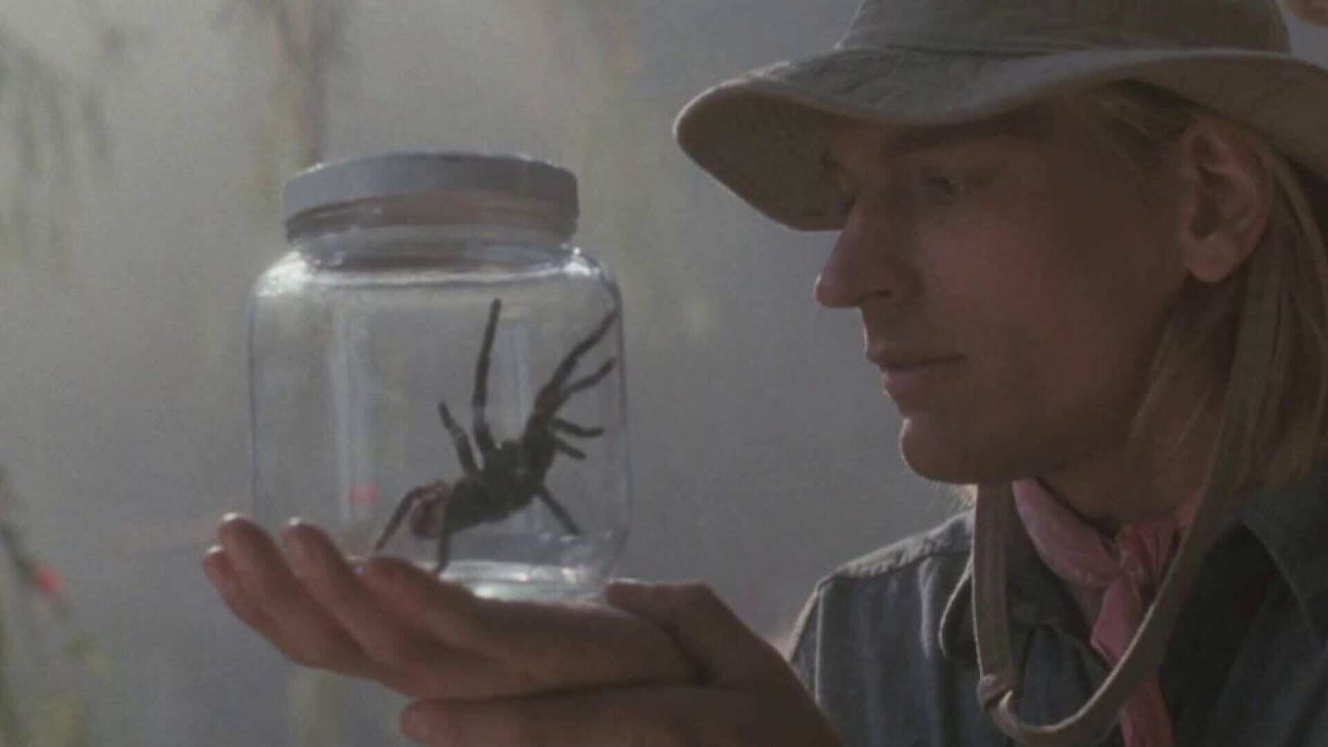 Джефф Дэниелс из Arachnophobia о том, как остаться наедине с пауком-крысоядом; Рассказывает, с каким животным ему не хотелось бы встретиться лицом к лицу