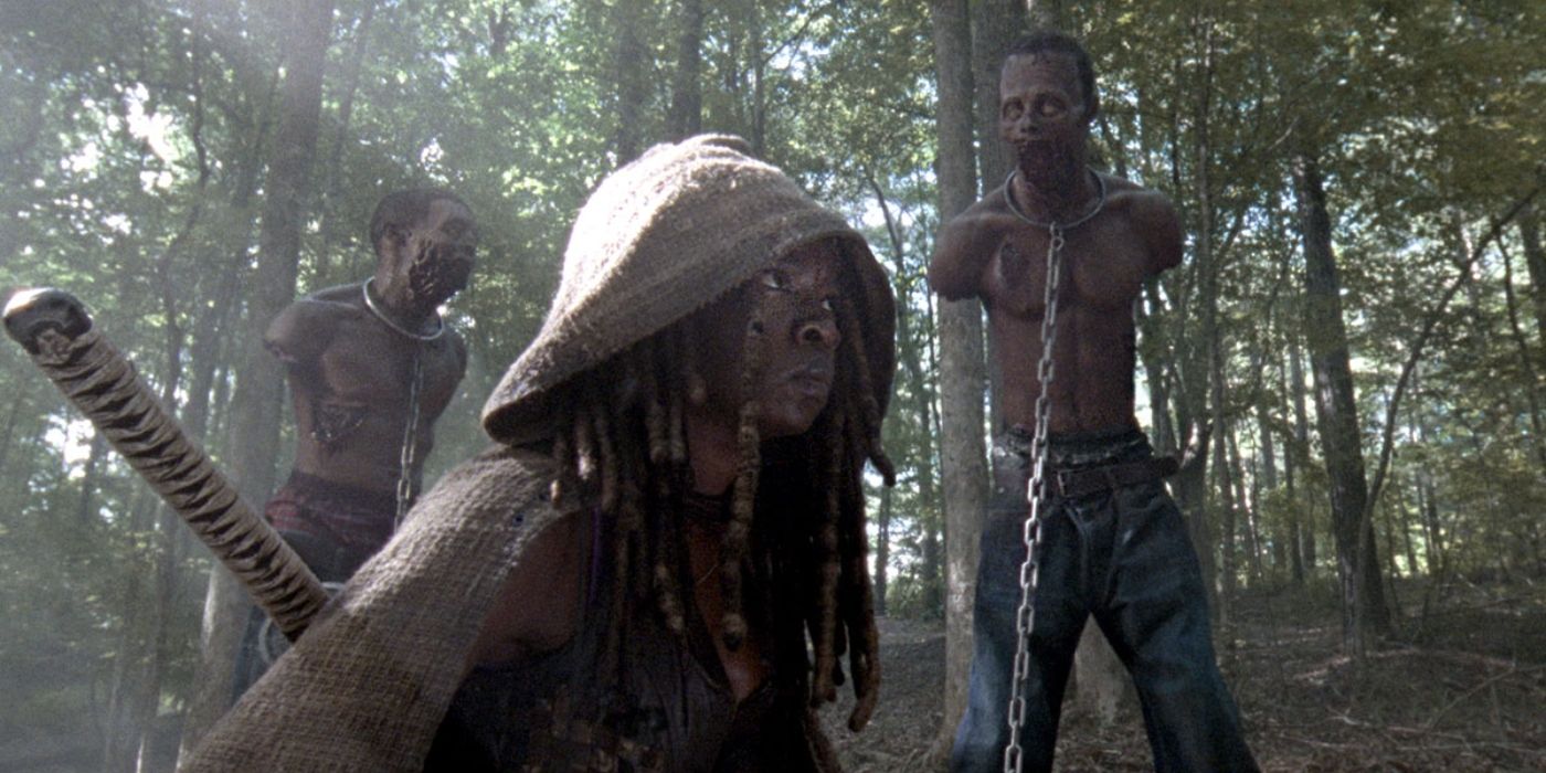 Michonne Walker Pets The Walking Dead 2