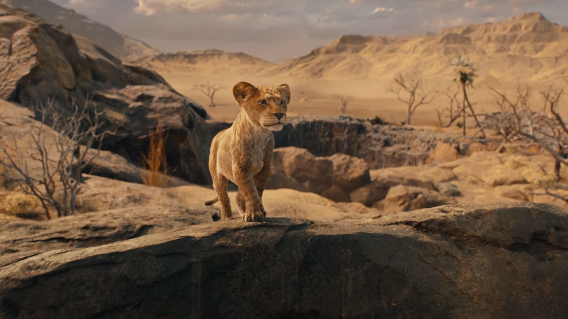 Mufasa: The Lion King's Aaron Pierre Says Rebel Ridge Taught Him Valuable Lessons for His Disney Debut