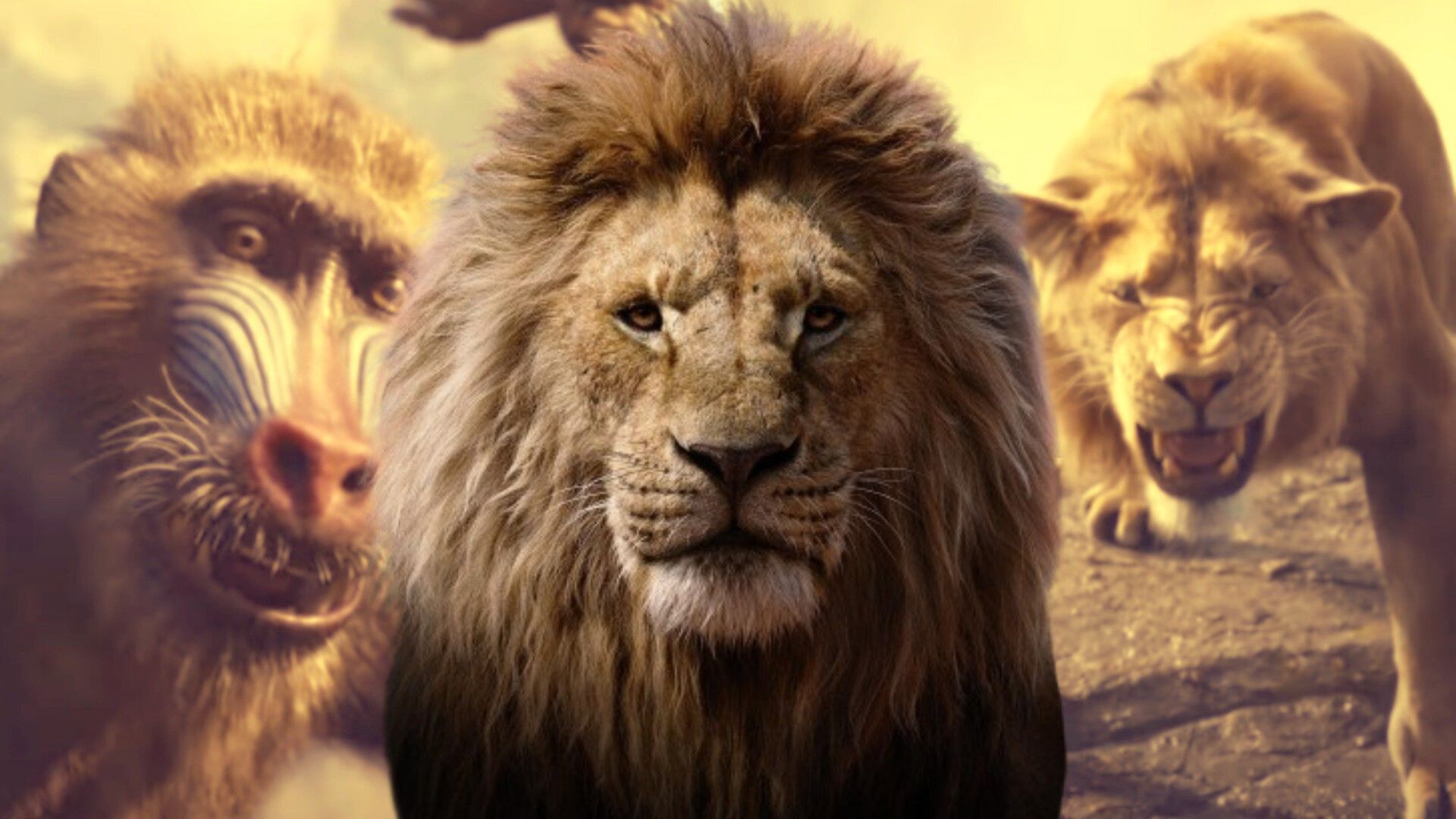 Stills from Mufasa: The Lion King.