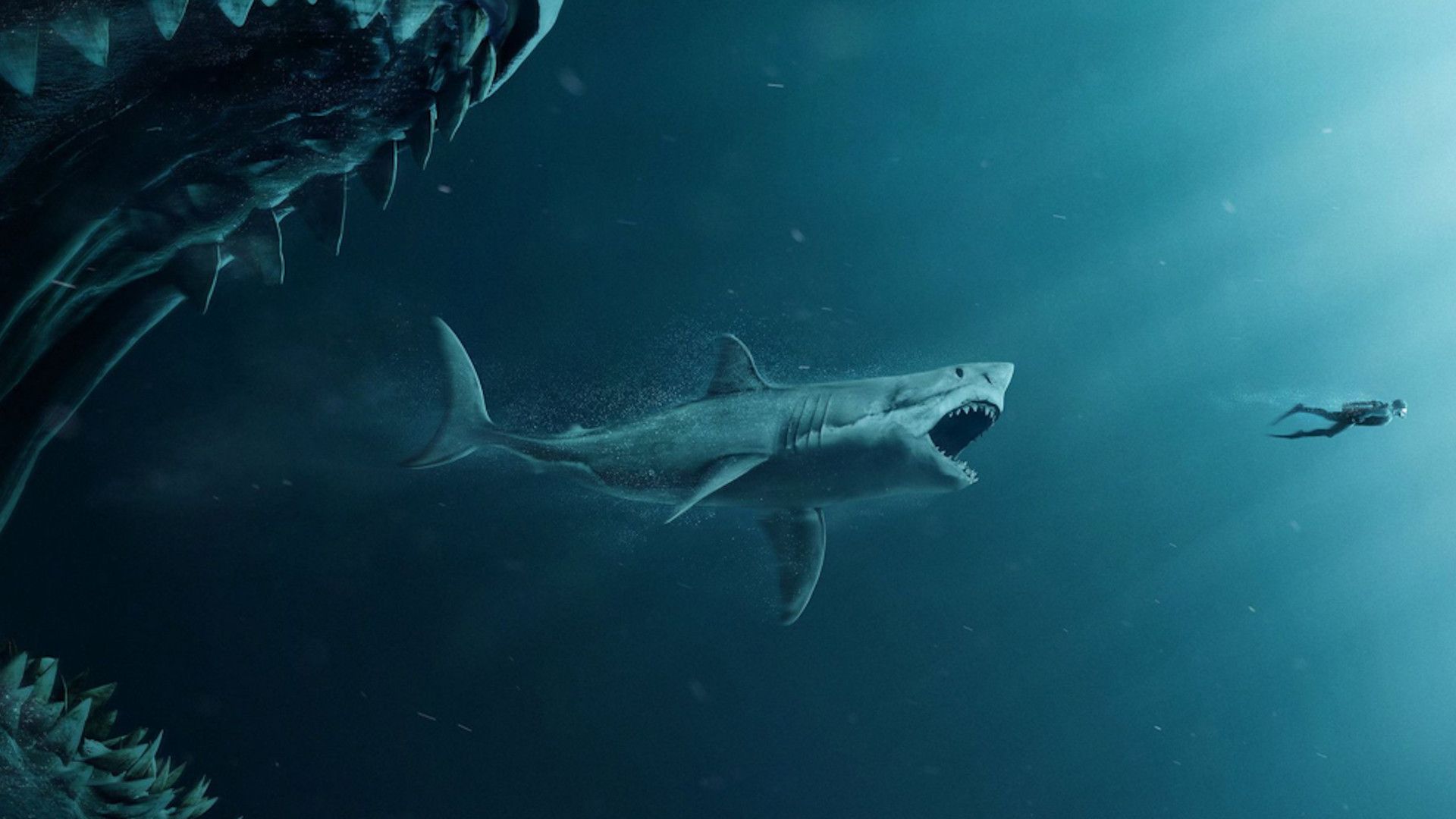 A bigger shark chasing a small shark that is chasing a human in 47 Meters Down: Uncaged.