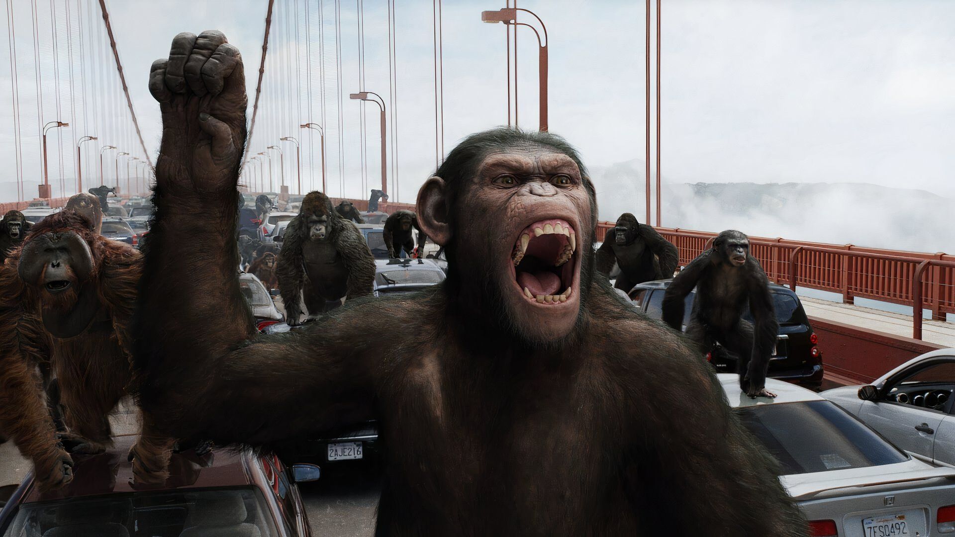 Как смотреть фильмы «Планета обезьян» по порядку