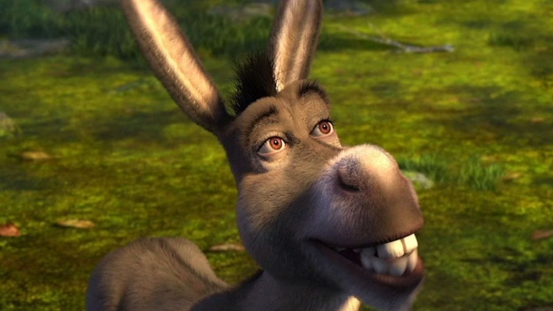 Eddie Murphy Confirms Both Shrek 5 and a Donkey Spin-Off
