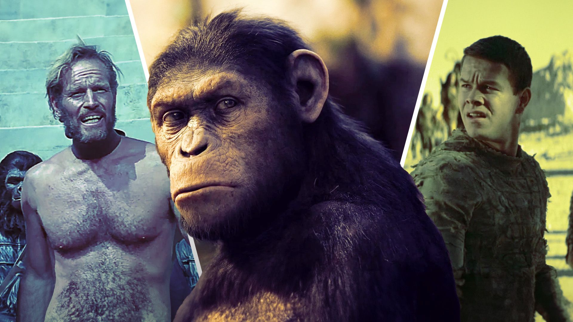 Here's What Every Planet of the Apes Movie Made at the Box Office