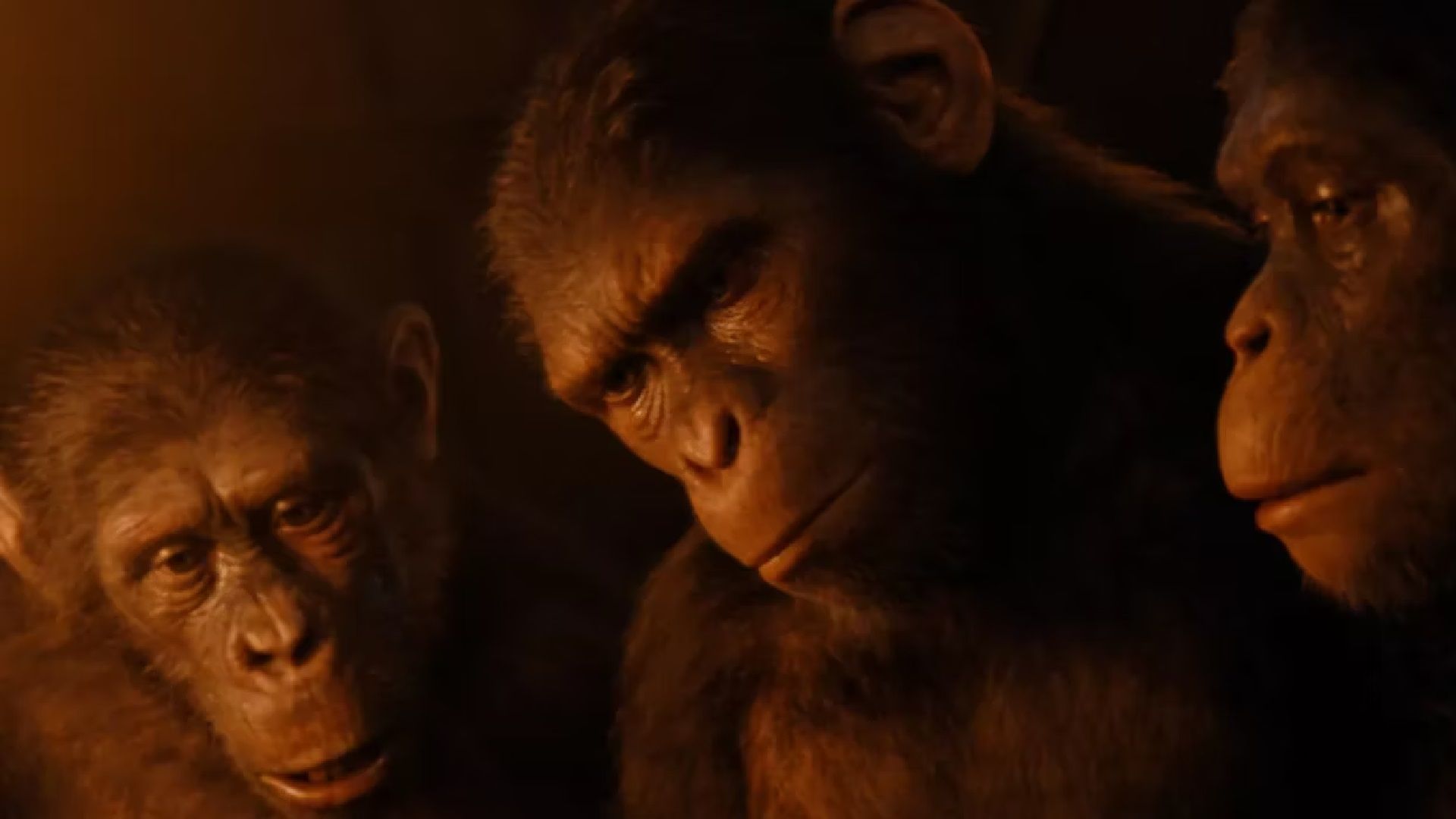 Оуэн Тиг и Фрейя Аллан о химии и персонажах «Планеты обезьян»