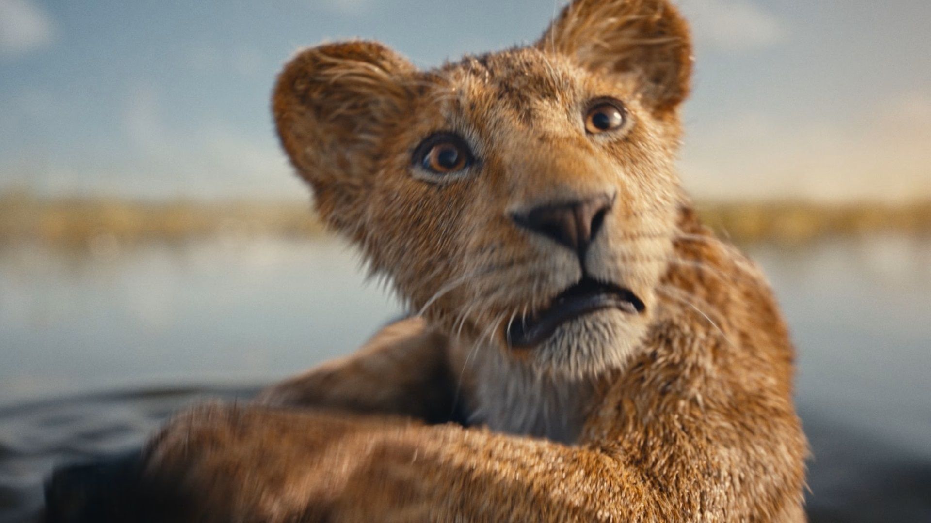 The Lion King Director Reacts to Fans Saying He’s ‘Too Talented’ for ‘Soulless’ Disney