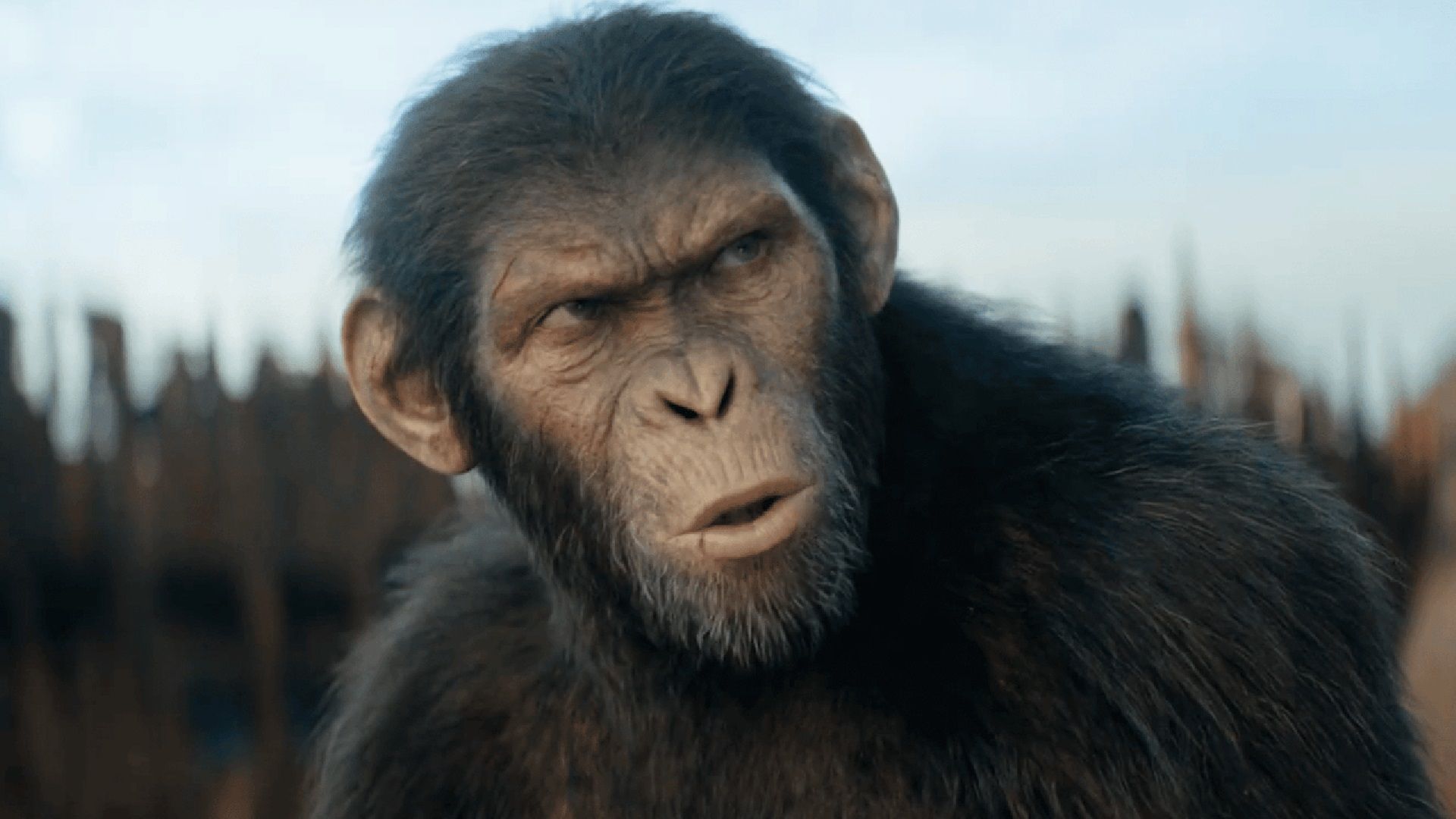 Режиссер «Королевства планеты обезьян» дразнит выпуском сырой версии, подчеркивая важность визуальных эффектов: «Я думаю, что волшебство все еще существует»