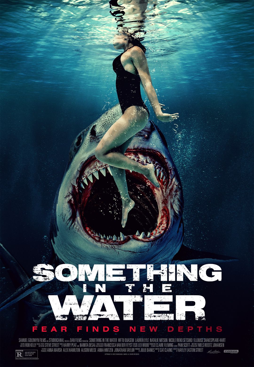 Something in the Water movie poster with shark
