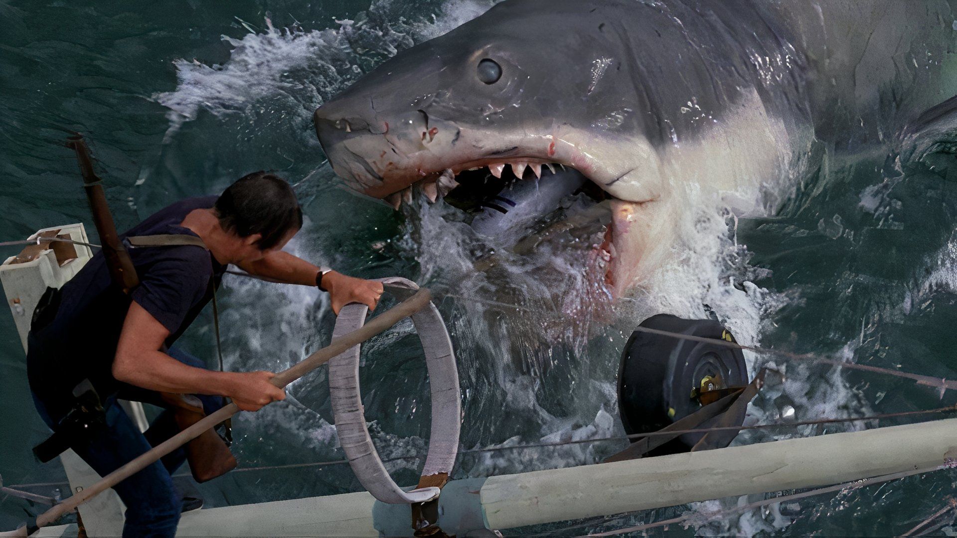 A Jaws Book Is Being Worked on by Steven Soderbergh