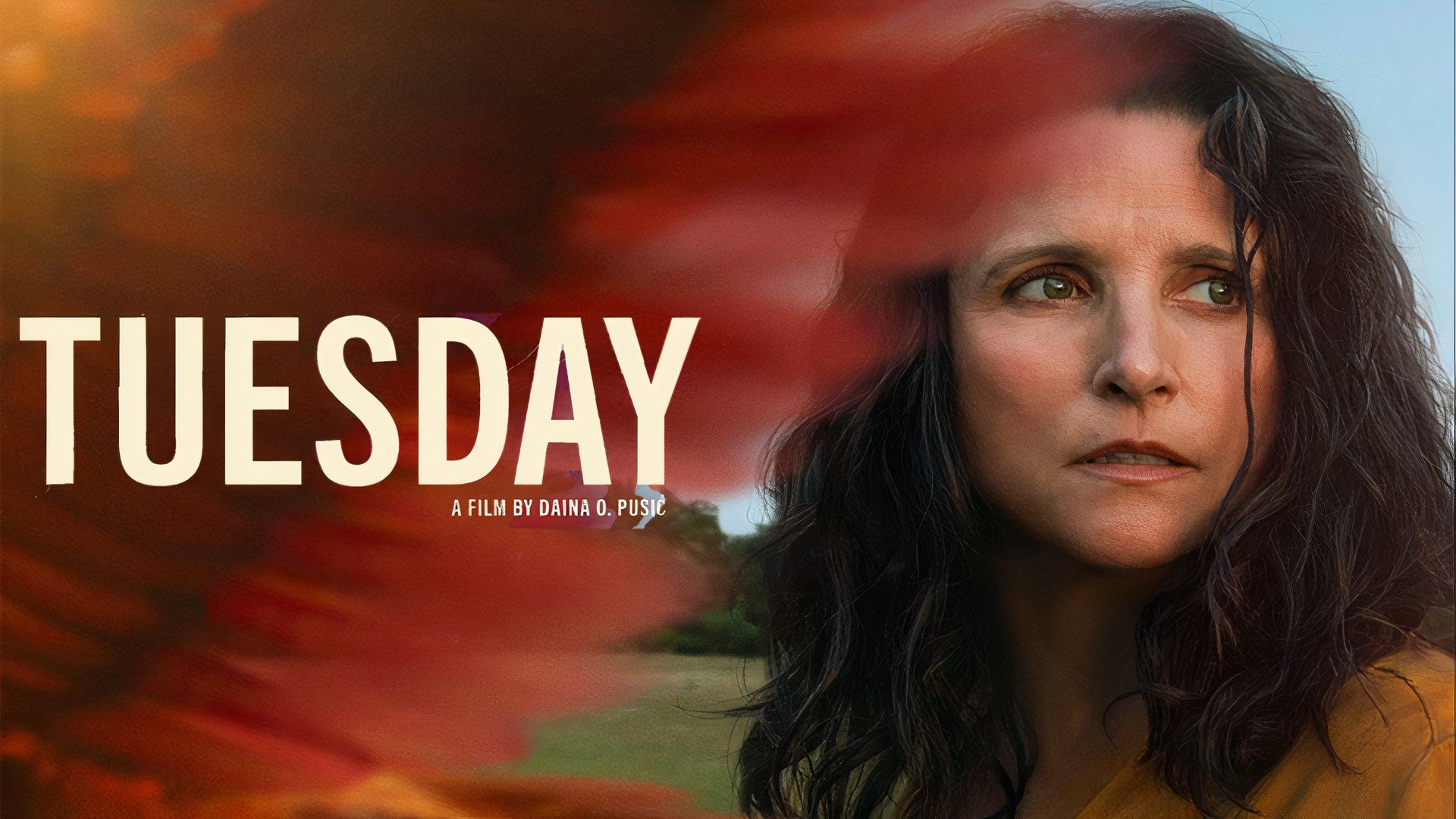 Julia Louis-Dreyfus as Zorra looking off-screen with a bird wing covering part of the frame in Tuesday