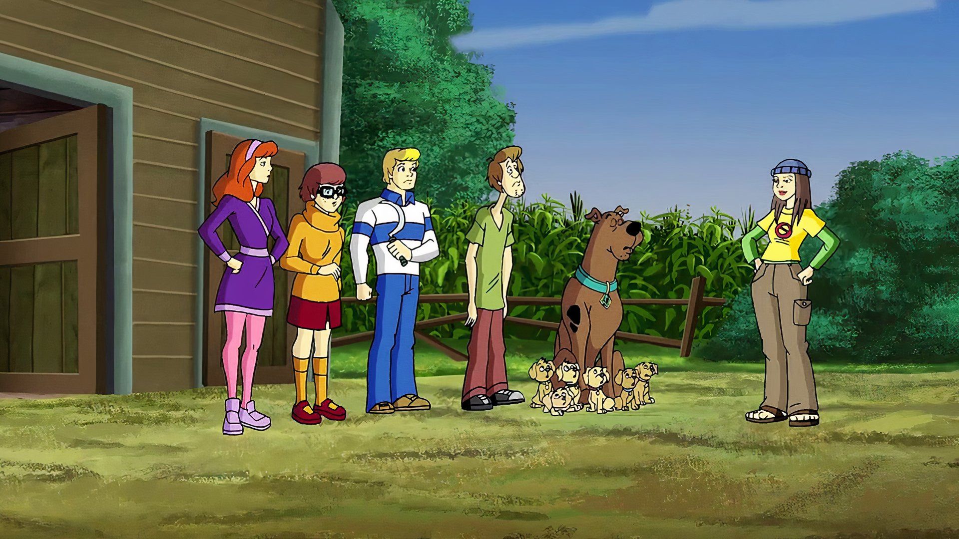 A Pup Named Scooby-Doo Series Is Finally Streaming on Max