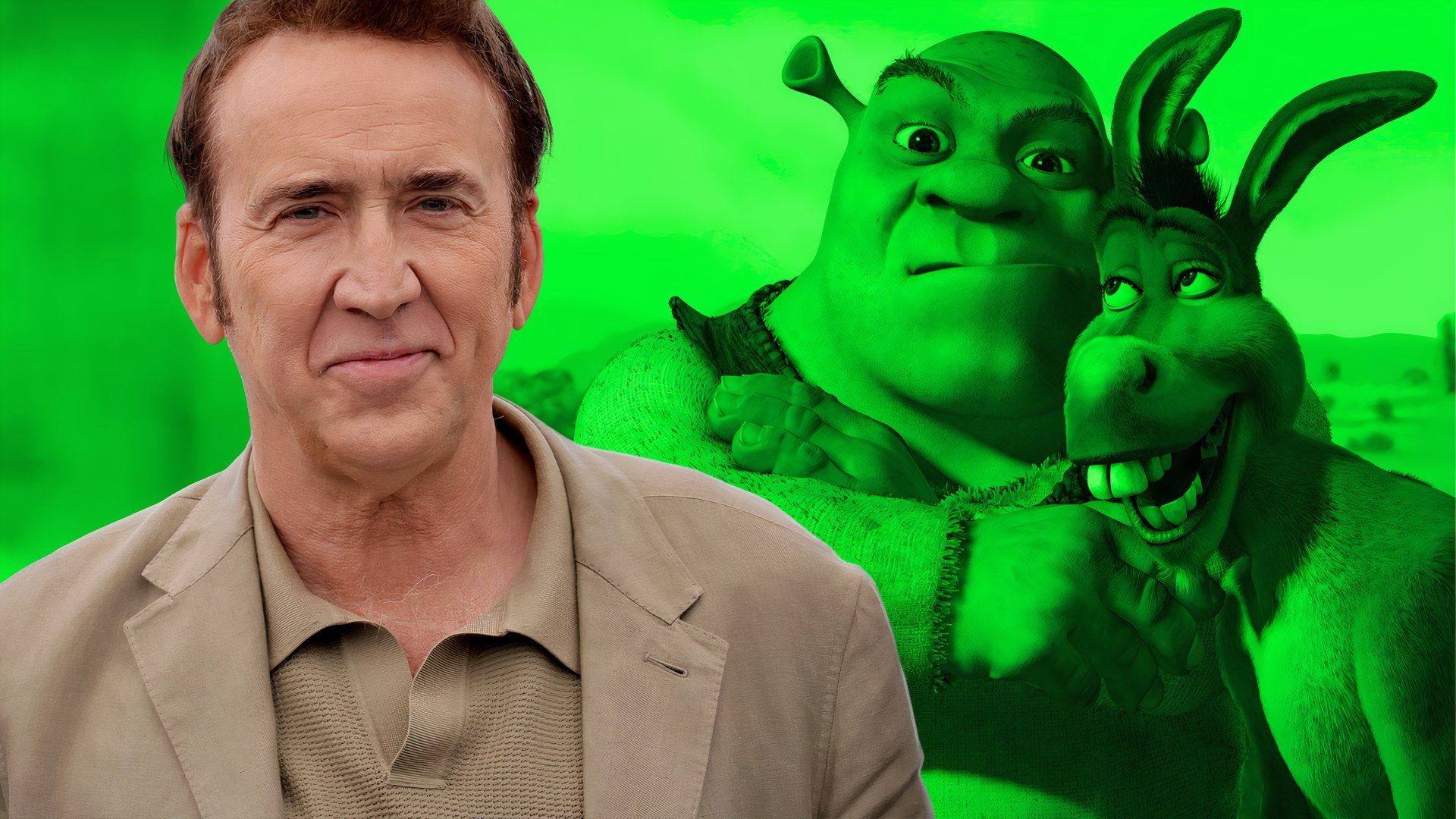 6 Actors Who Were Almost in Shrek