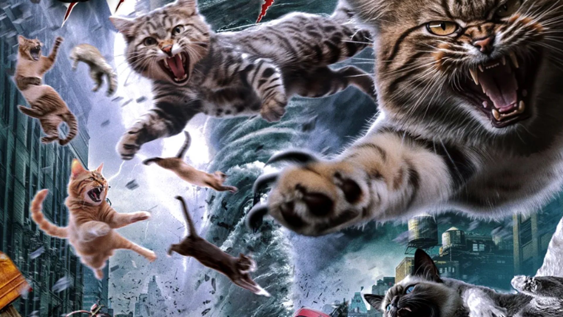 Catnado Trailer Promises to Blow Twisters Away With Cat-Astrophic Disaster Action