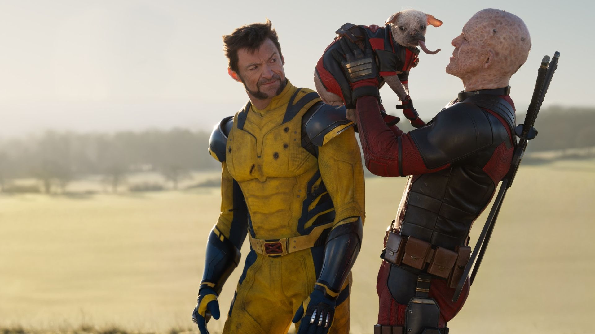 Deadpool & Wolverine Star Is So Thankful to Play Johnny Storm Again