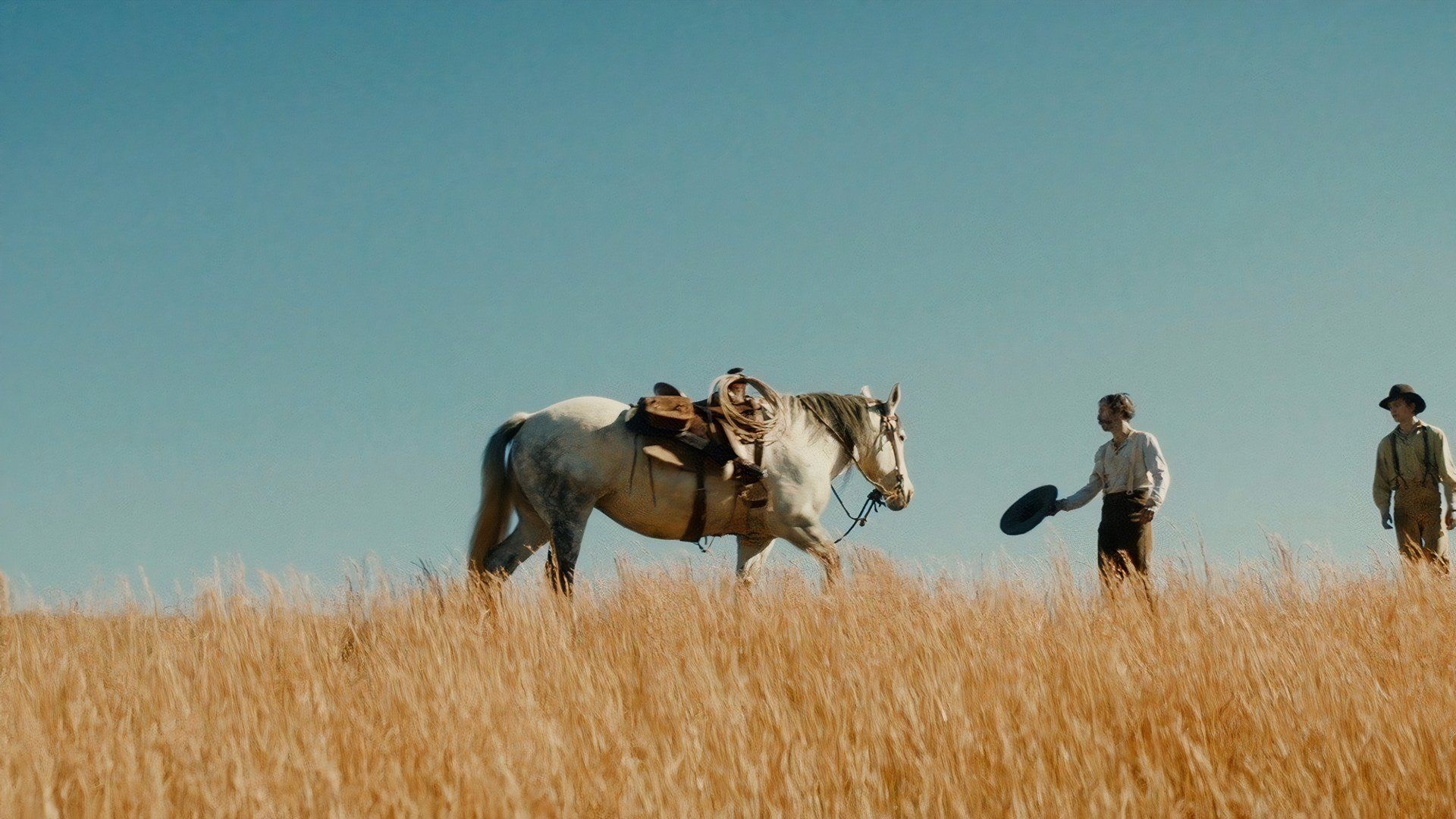 Henry McCarthy and his son Wyatt discover Carrie's horse.