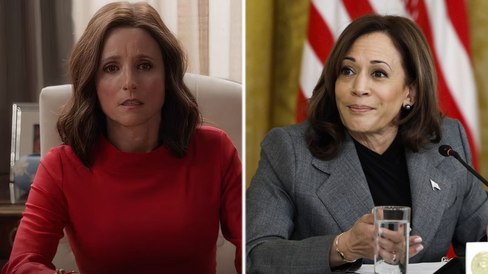 Julia Louis-Dreyfus Talks the Timely Newfound Popularity of Veep