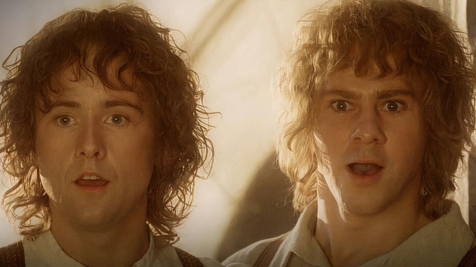 Merry and Pippin are amazed in the Lord of the Rings movie