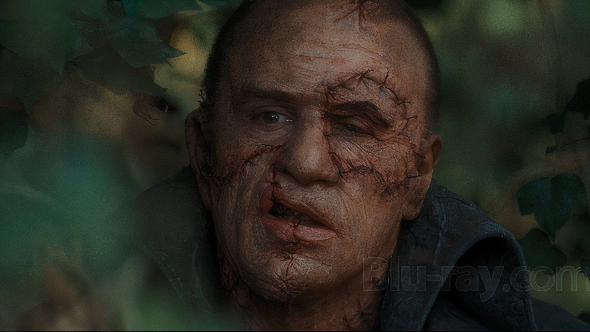 Robert De Niro as Frankenstein in the woods in 1994 movie