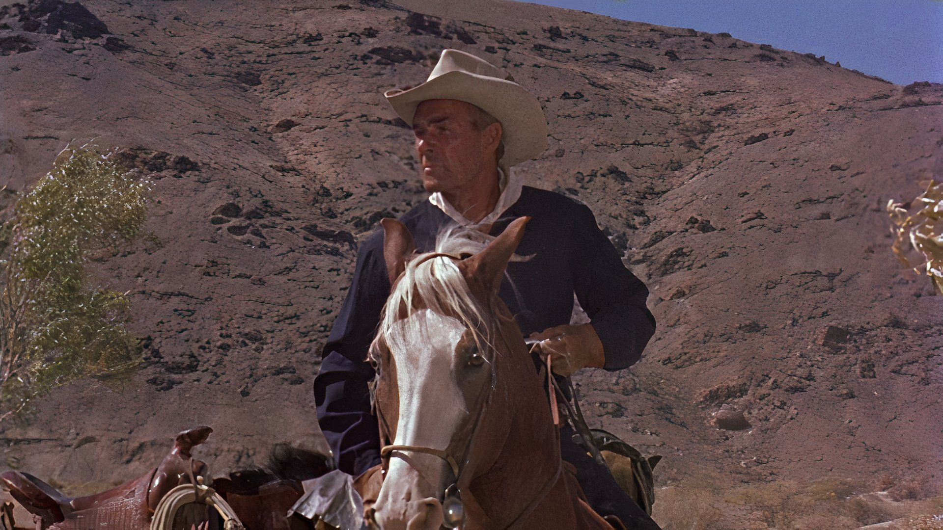 One Studio Produced the Most Underrated Westerns of the 1950s