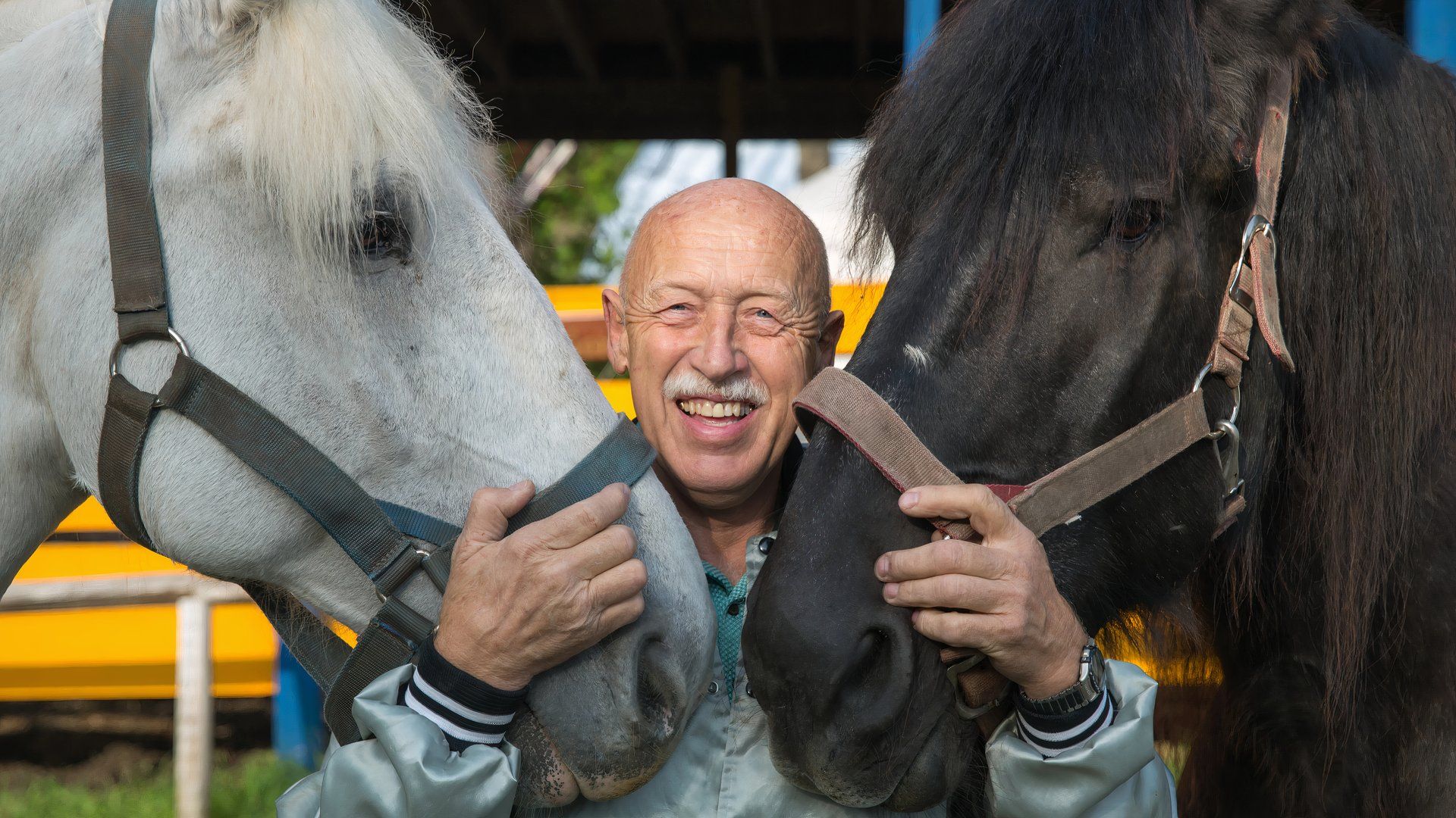 The Incredible Dr. Pol Is the Wholesome Antidote to Reality TV