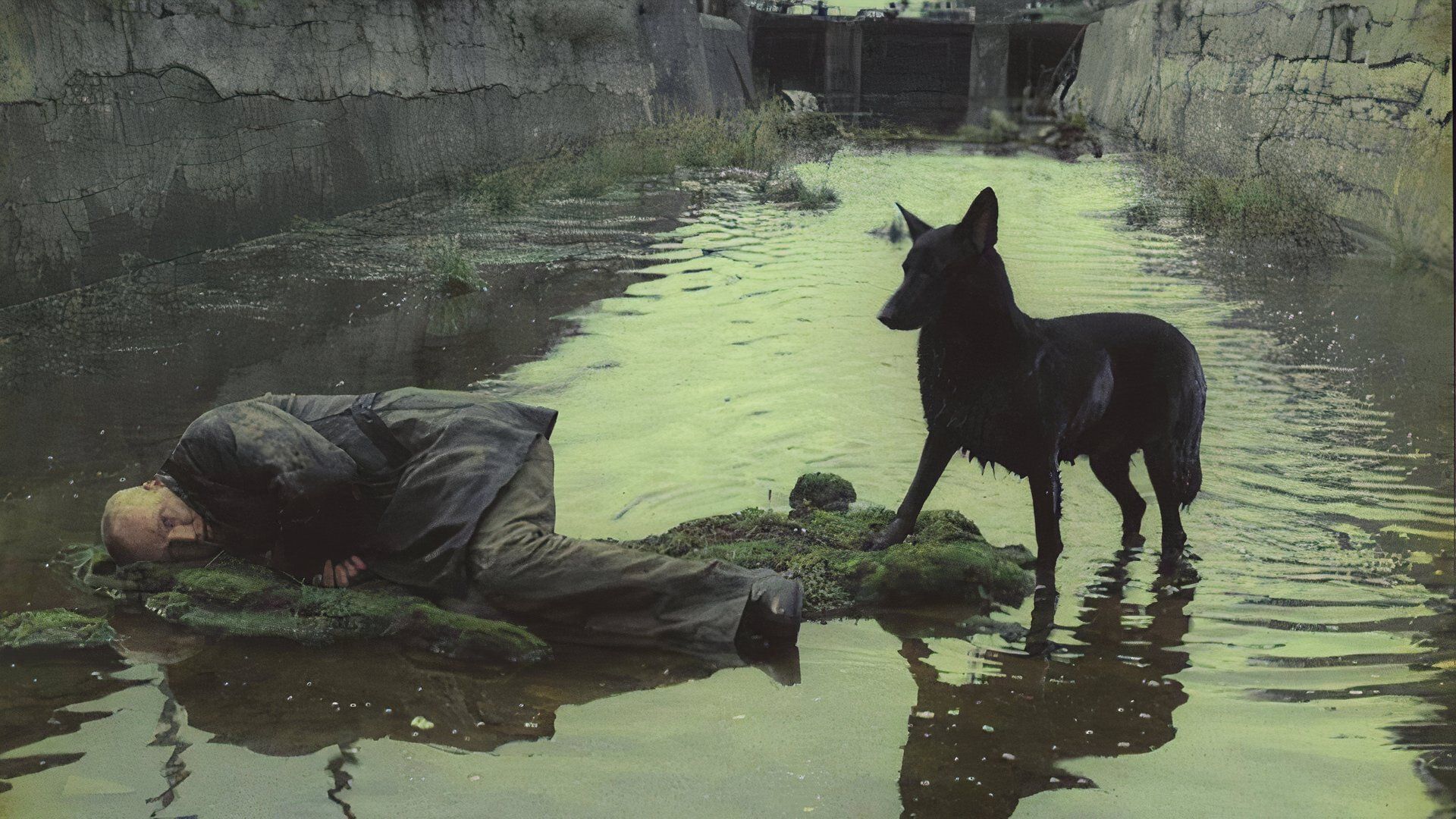 Andrei Tarkovsky's Sci-Fi Masterpiece Is Finally Streaming for Free