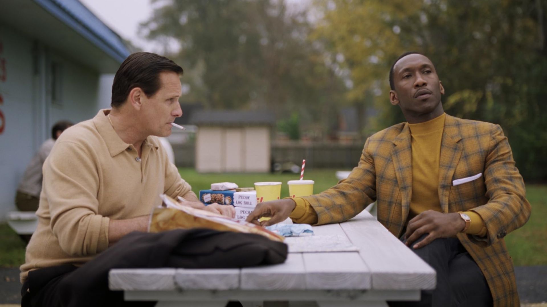 Green Book: Viggo Mortensen Says Studio Support was Lacking Movie Was Called Out for Racial Historical Inaccuracies