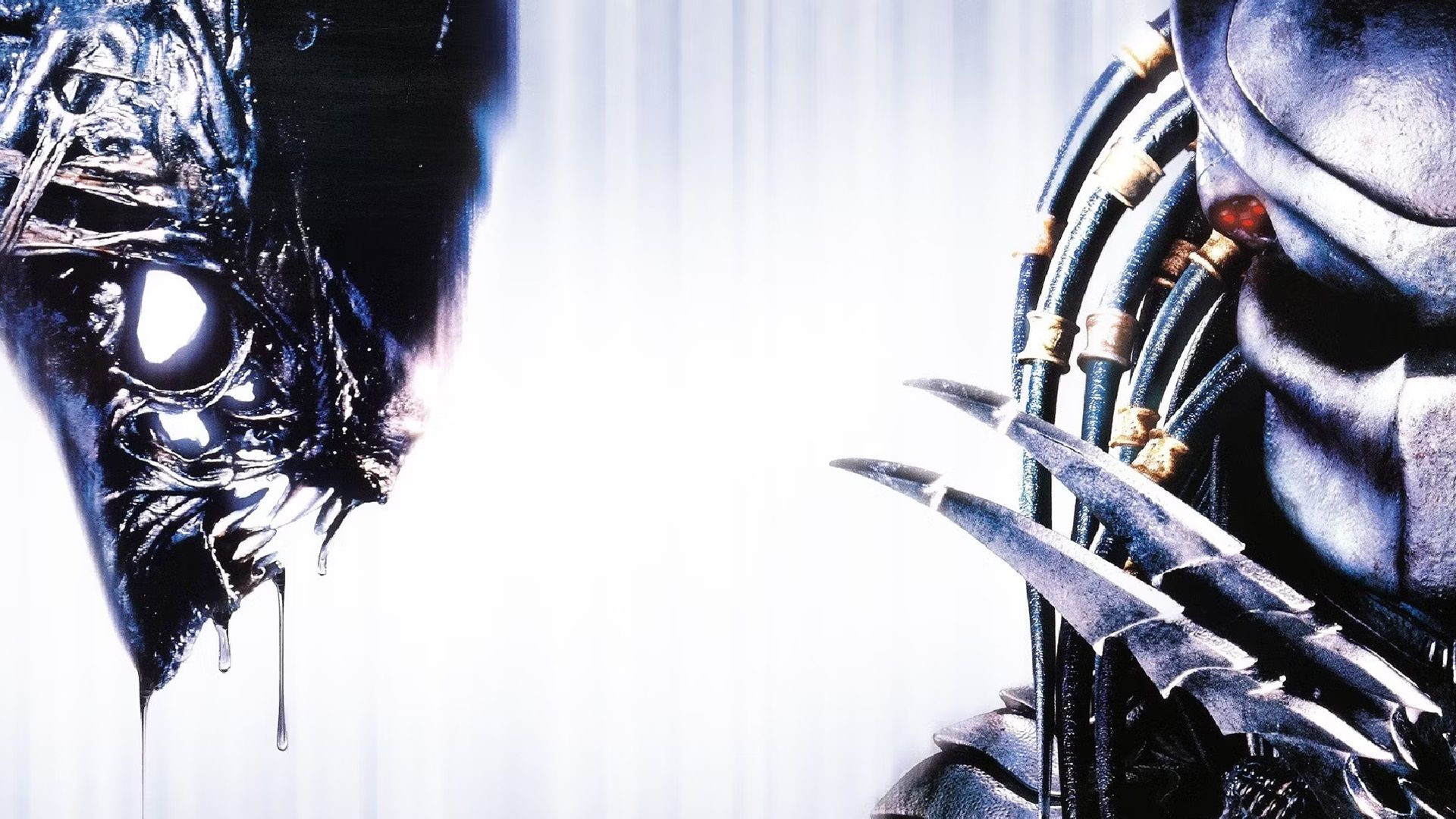 Alien vs Predator Movie Will 'Probably' Happen After Romulus and Prey Success