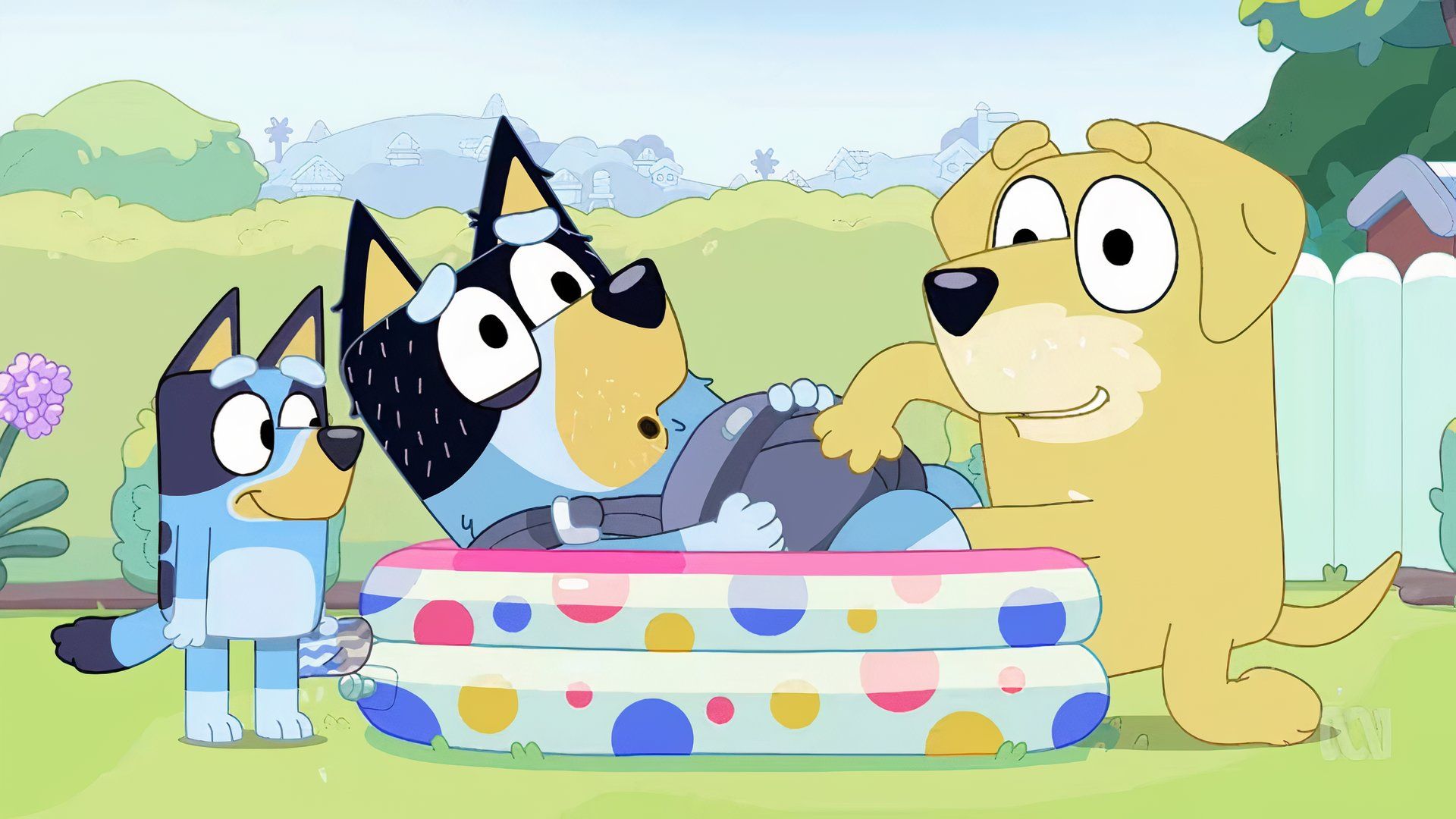 Is Bluey Worth Watching If You Dont Have Kids?