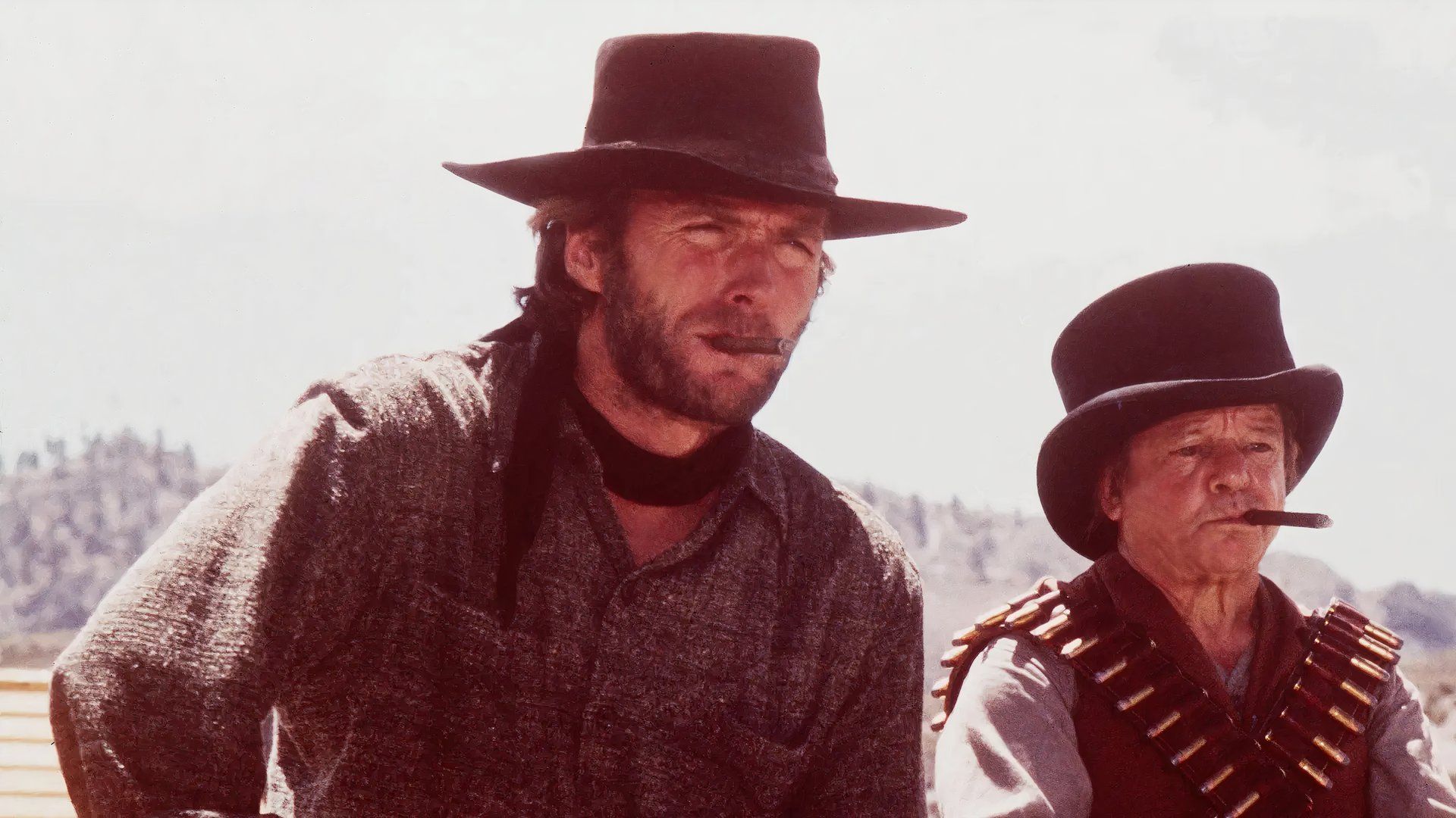 Why Clint Eastwood and John Wayne Never Worked Together, Explained