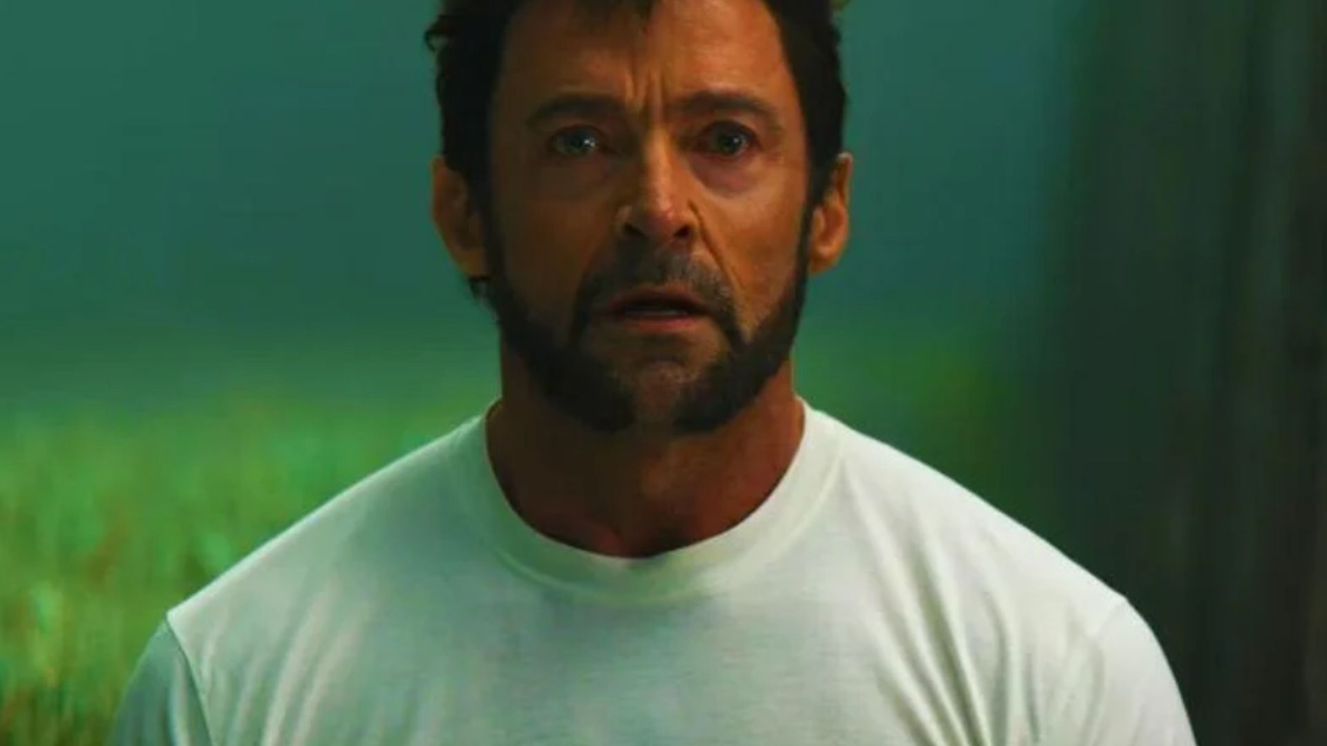 MCU Concept Trailer Finally Shows Hugh Jackmans Wolverine Versus Mark Ruffalos Hulk