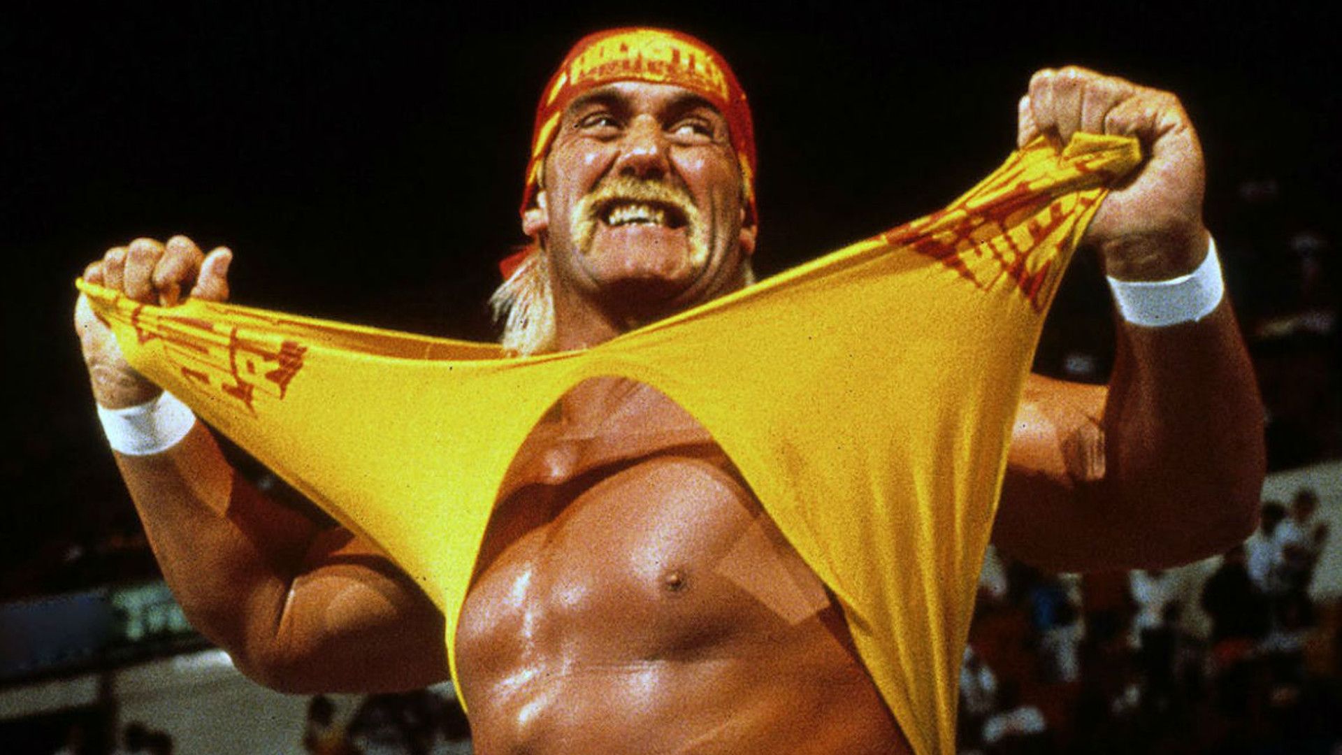 Hulk Hogan Makes Racist Comments About Kamala Harris at Public Event