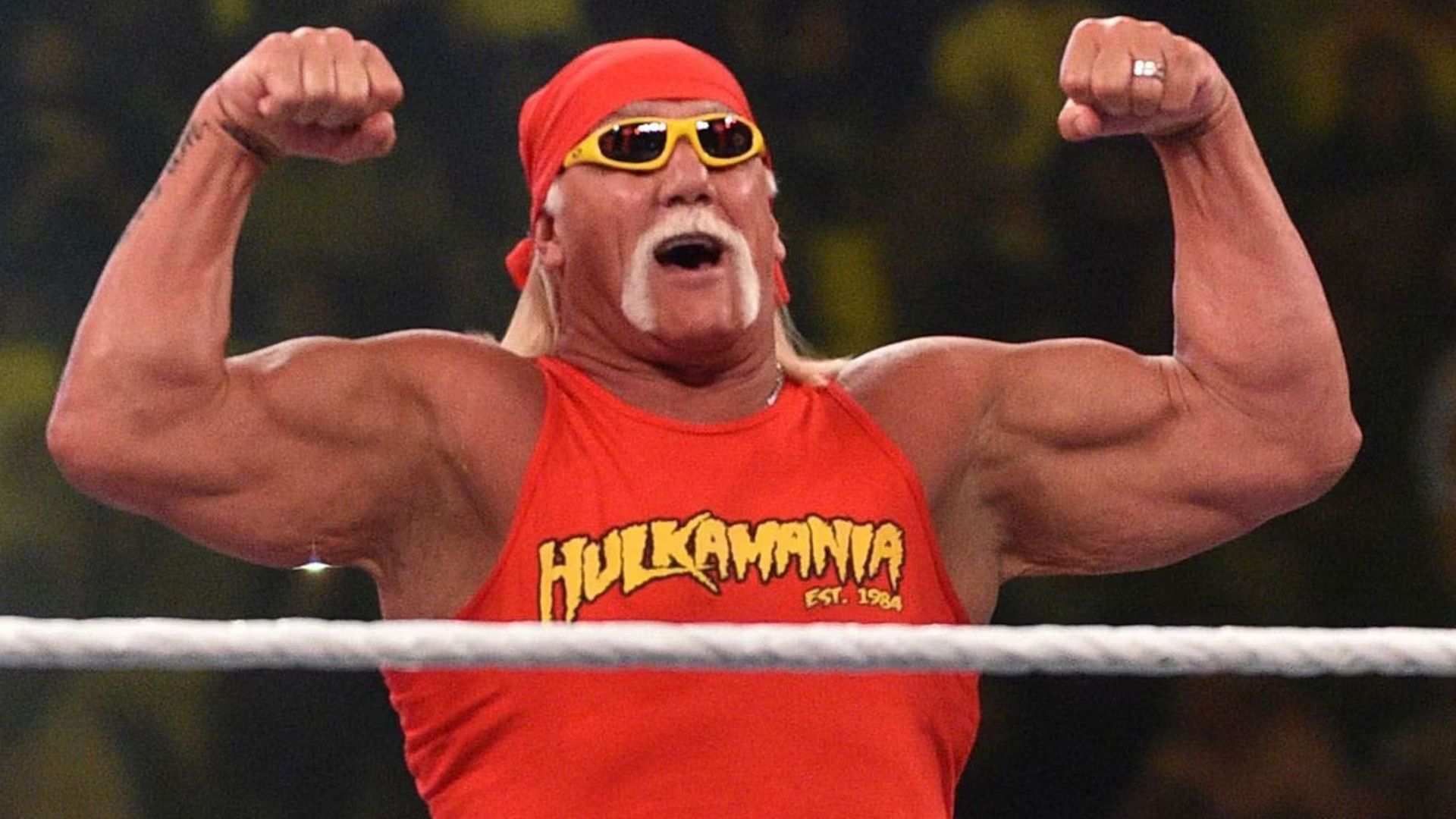 Hulk Hogan Makes Racist Comments About Kamala Harris at Public Event