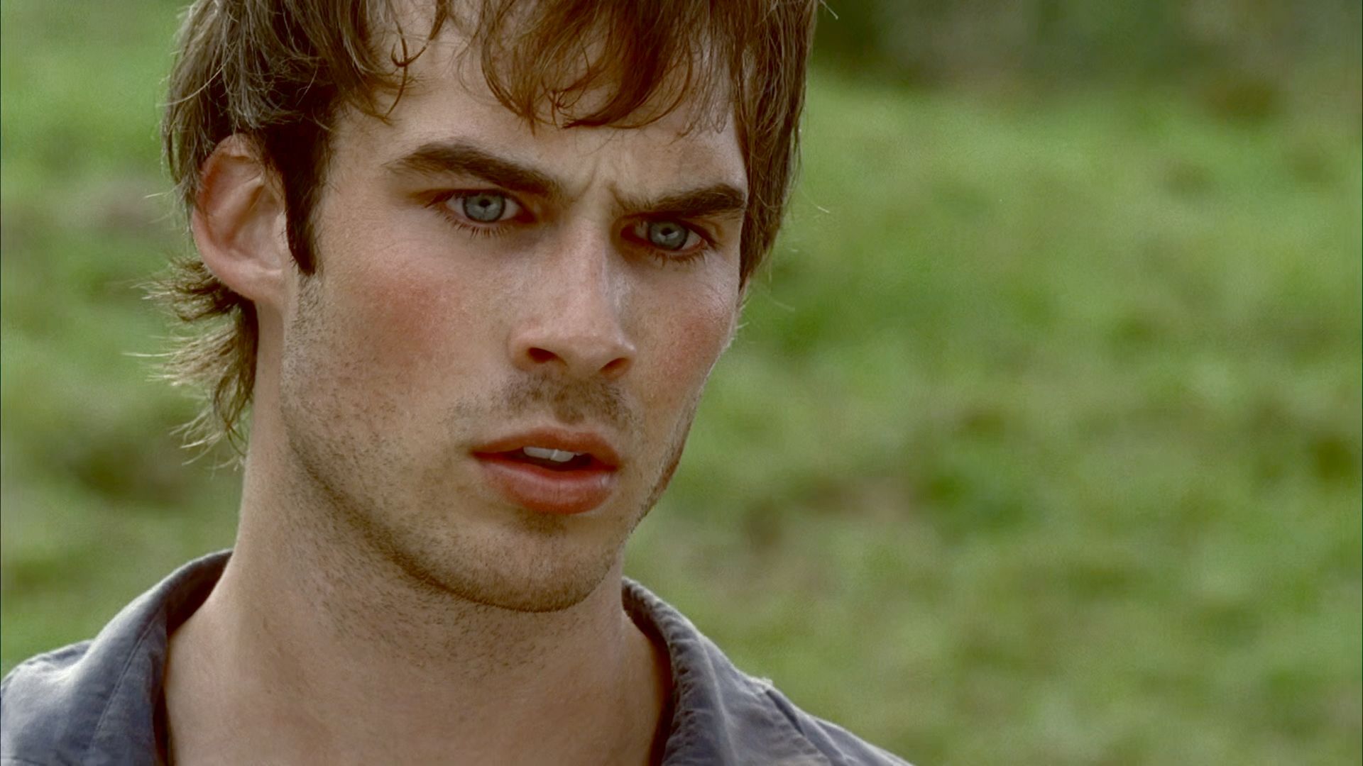 Ian Somerhalder Was on This Popular Sci-Fi Series